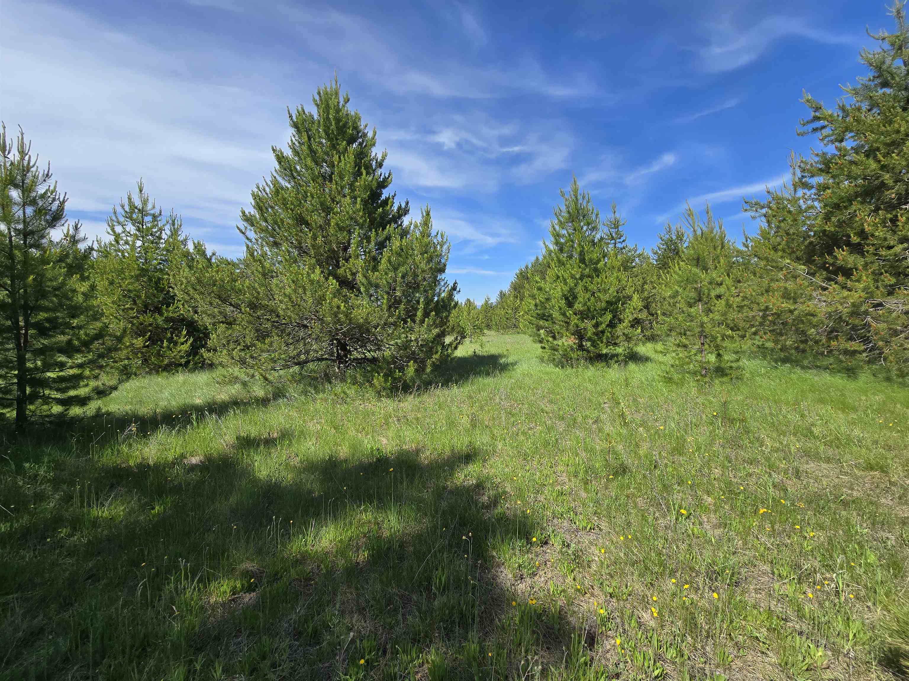 2040 Westside Calispell Track B Rd - Photo 12