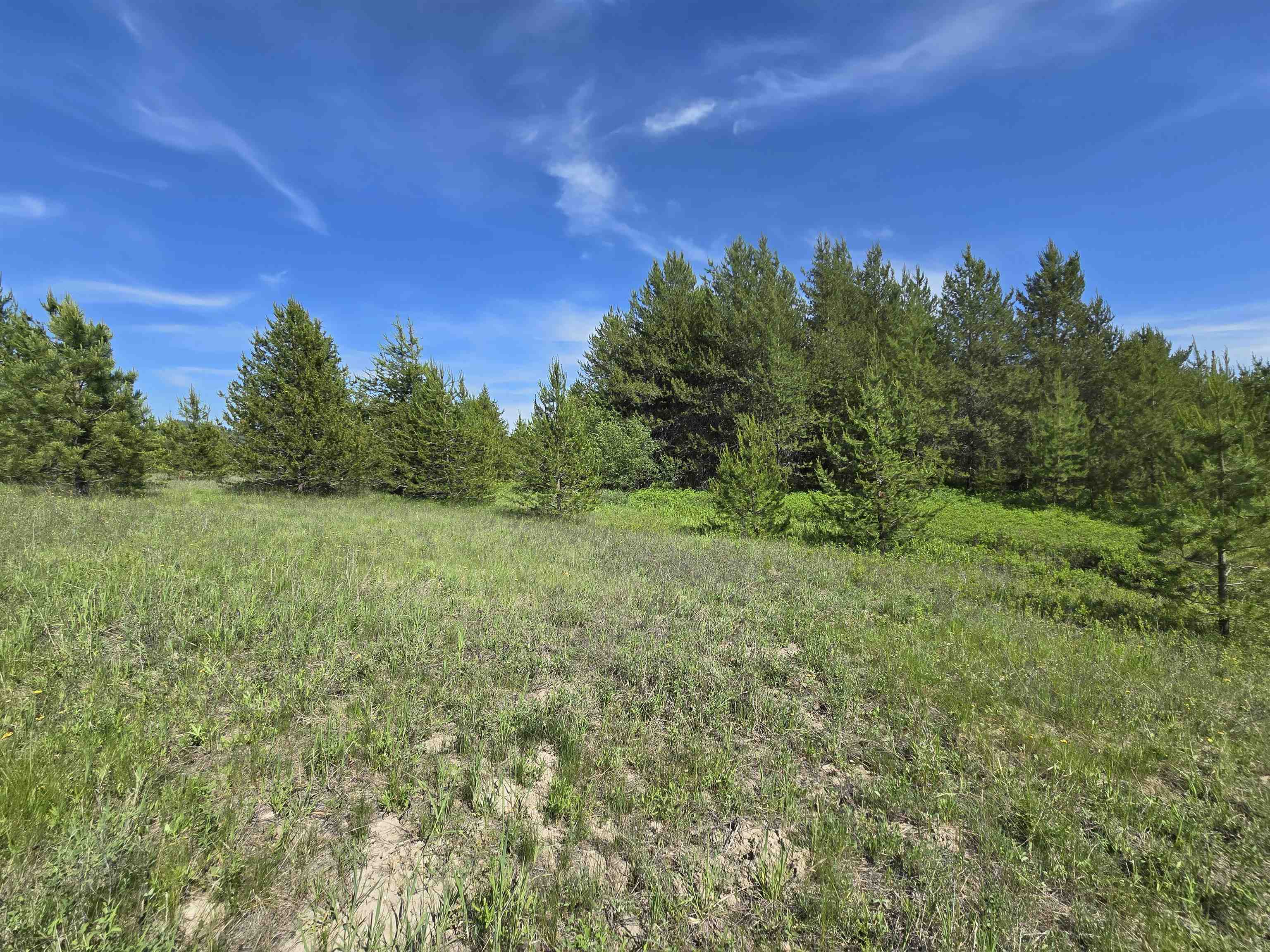 2040 Westside Calispell Track B Rd - Photo 15