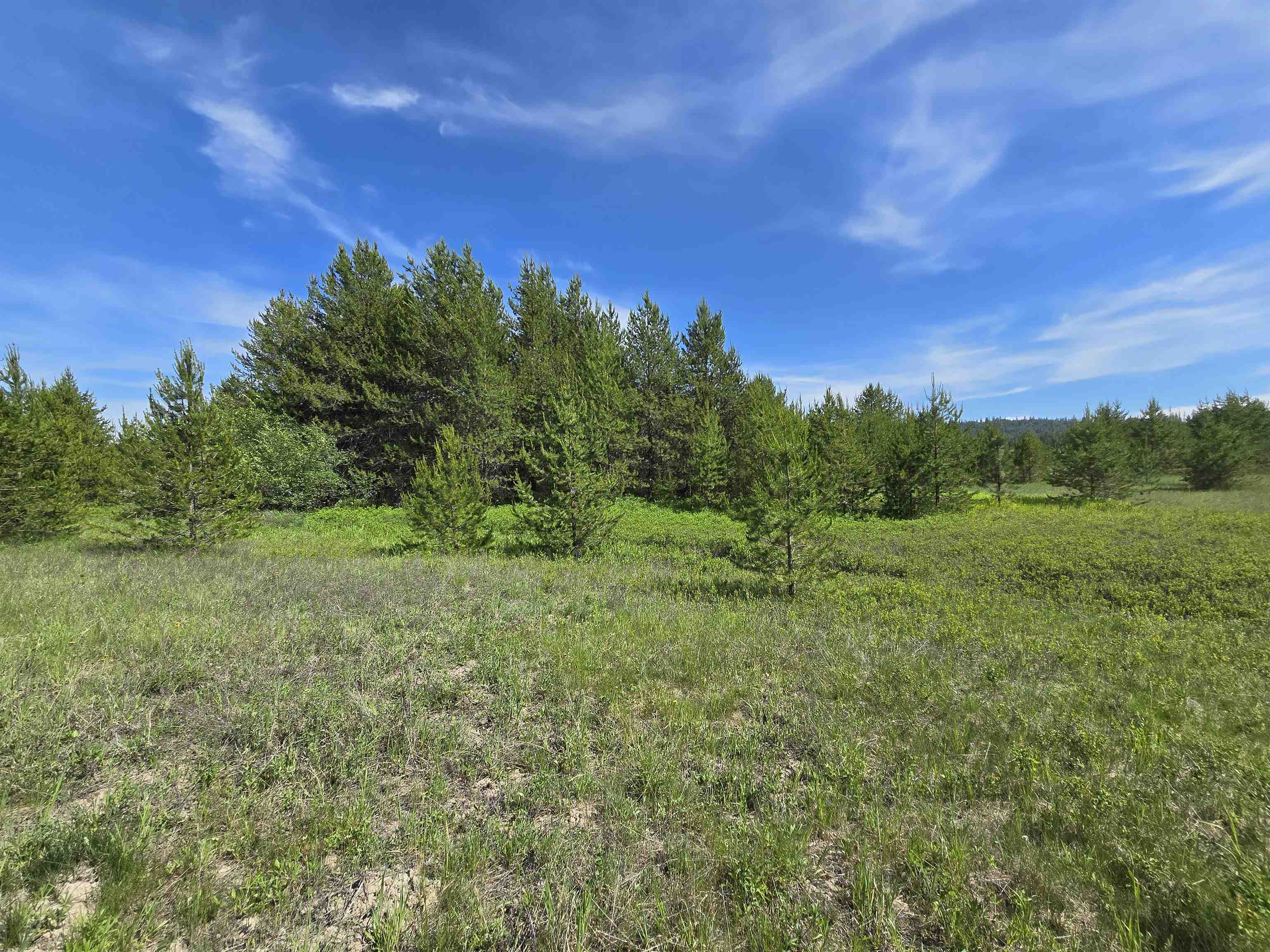 2040 Westside Calispell Track B Rd - Photo 16