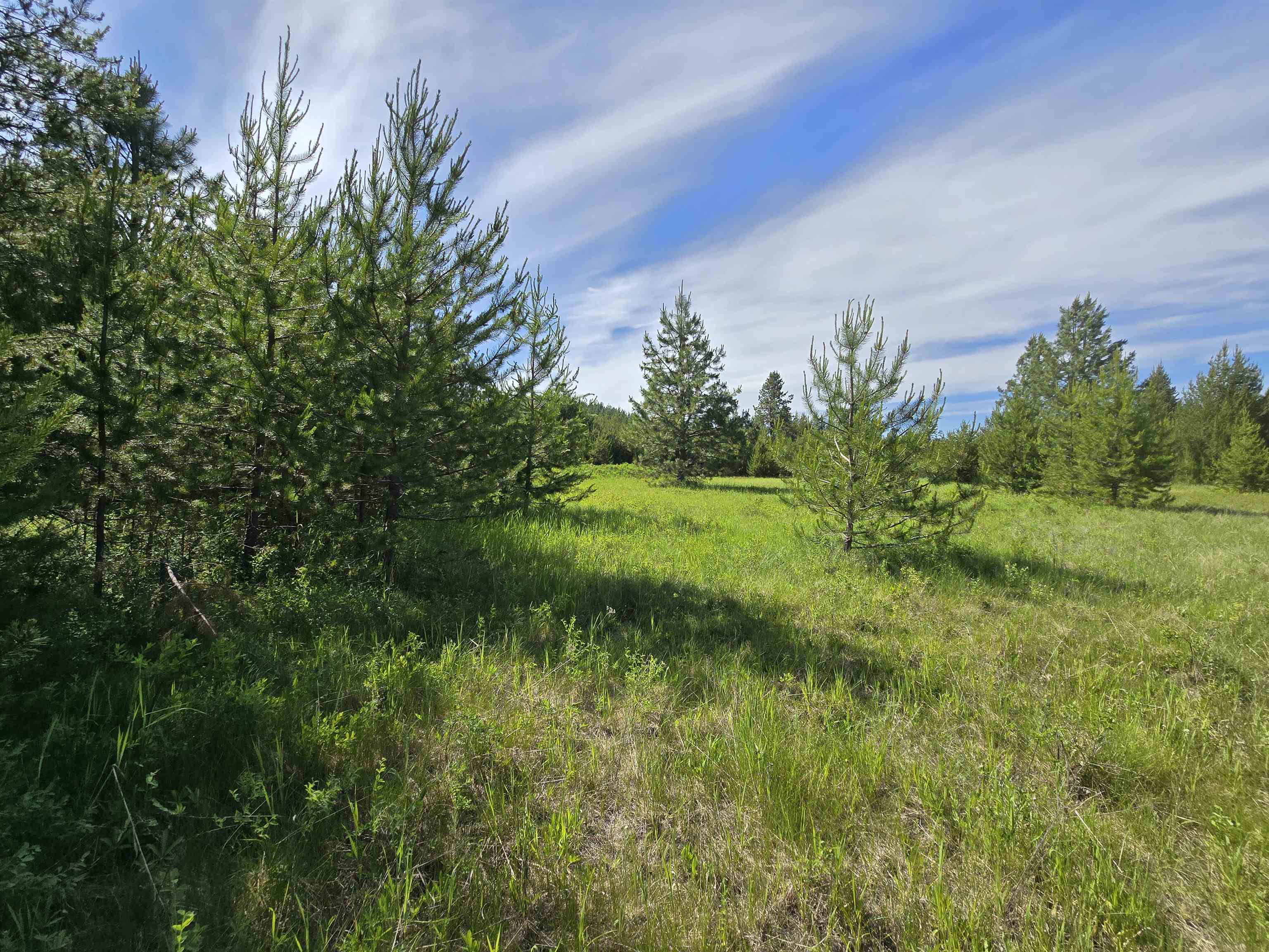 2040 Westside Calispell Track B Rd - Photo 17