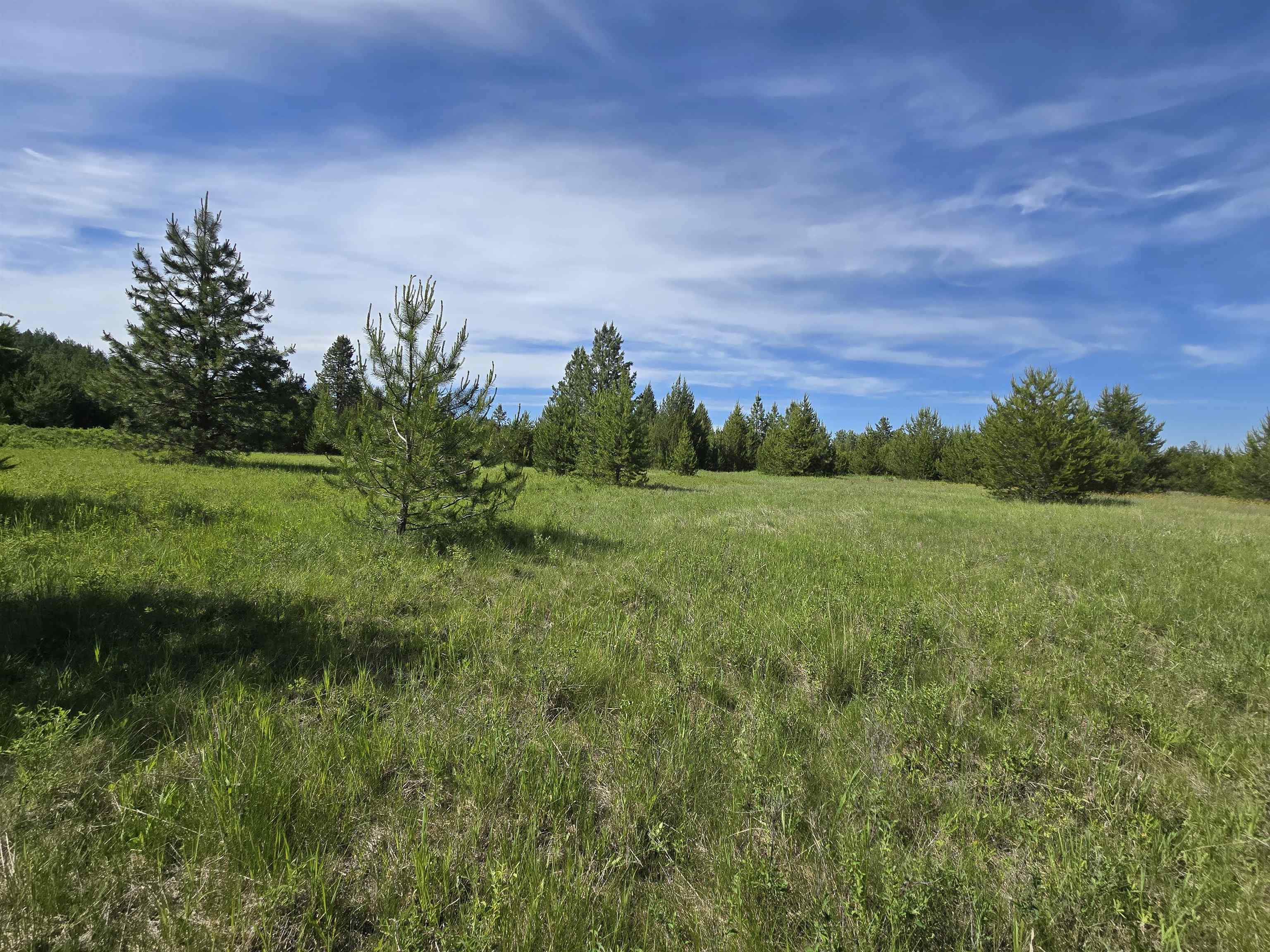 2040 Westside Calispell Track B Rd - Photo 18