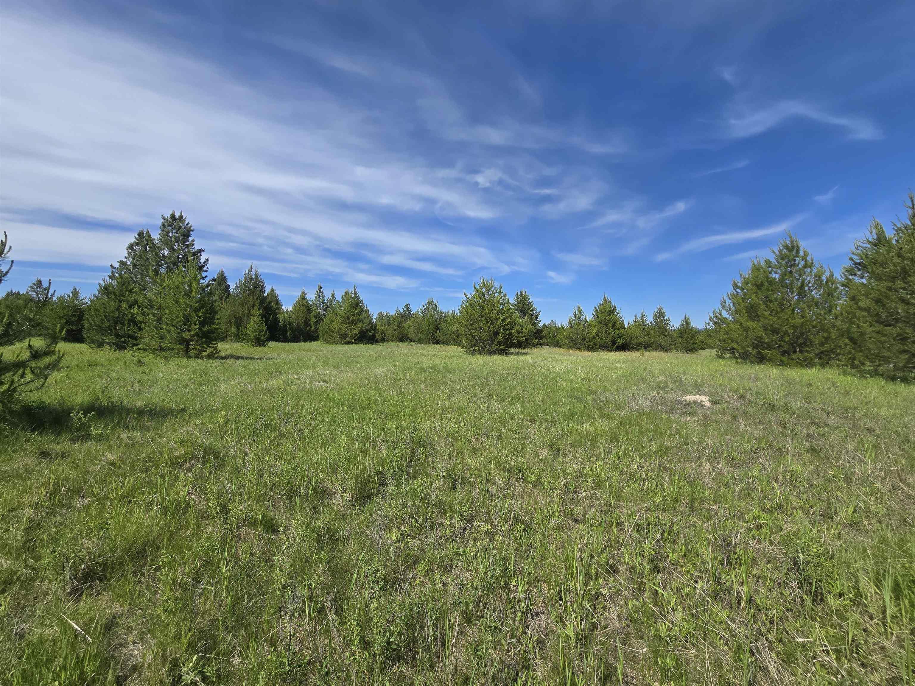 2040 Westside Calispell Track B Rd - Photo 19