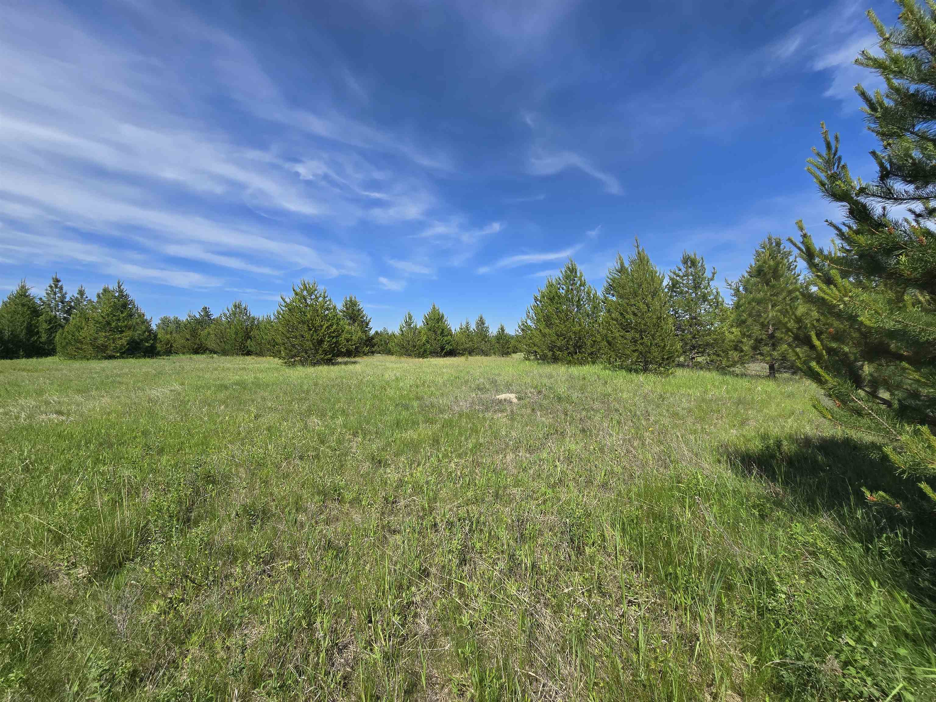 2040 Westside Calispell Track B Rd - Photo 20