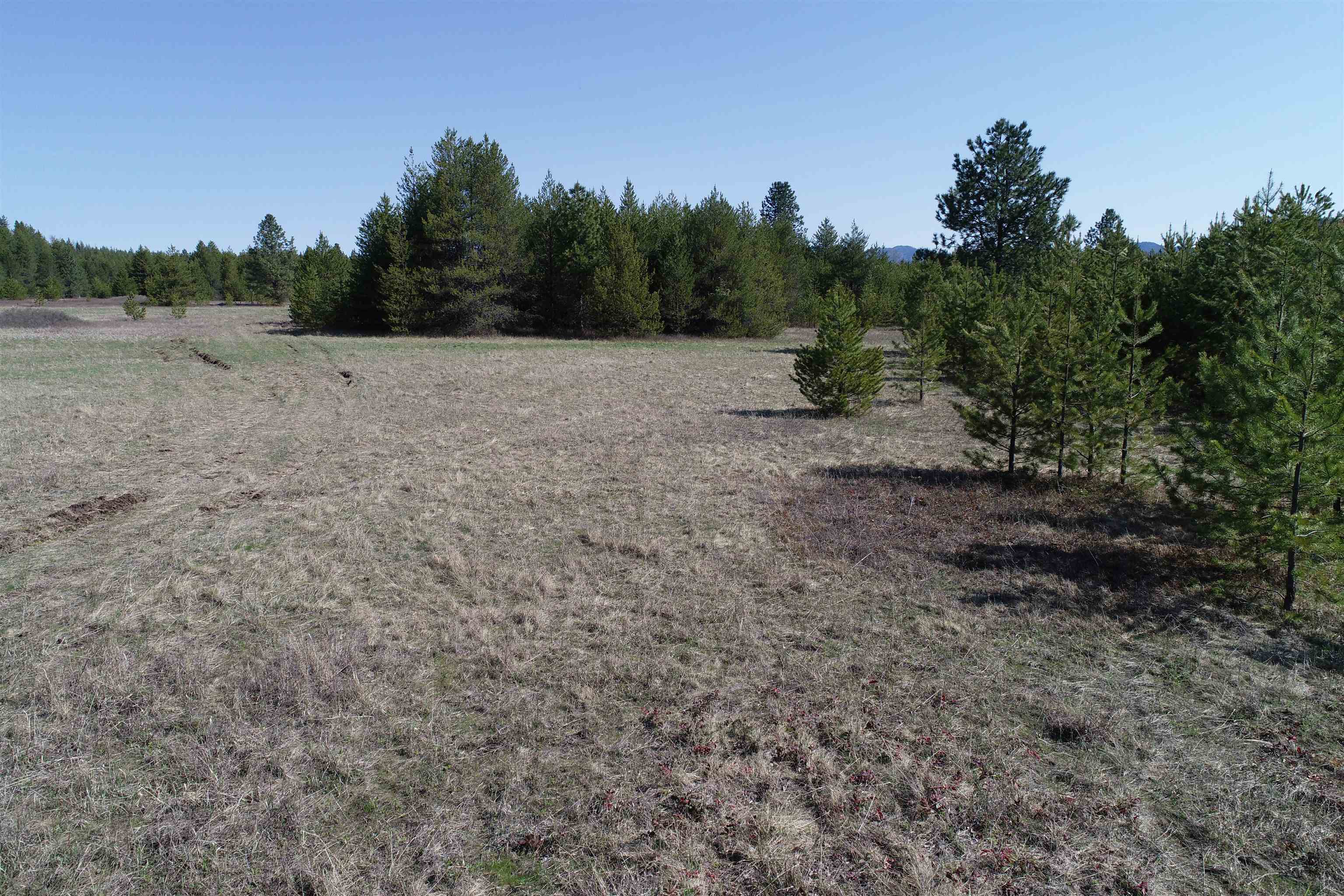 2040 Westside Calispell Track B Rd - Photo 3