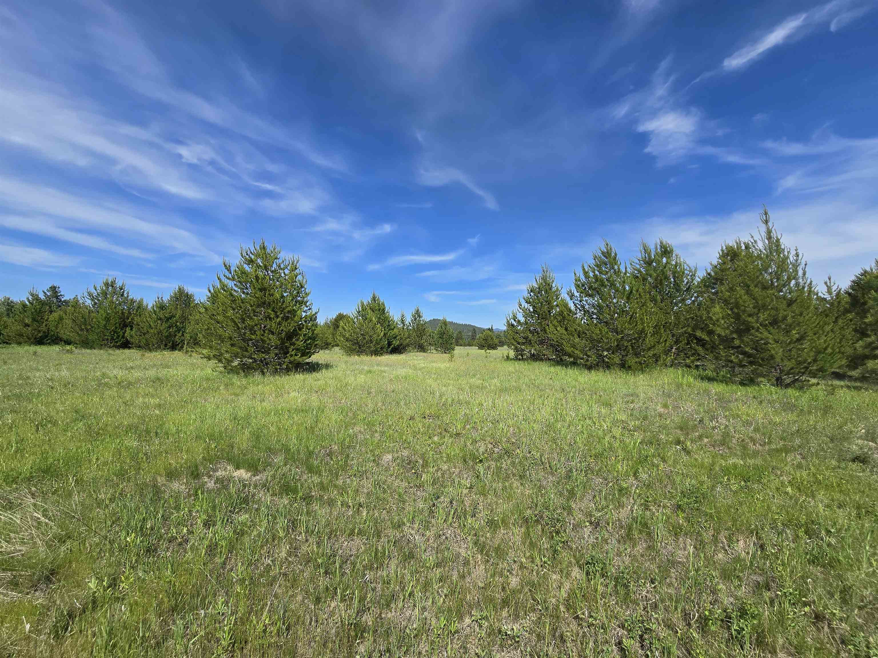 2040 Westside Calispell Track B Rd - Photo 21