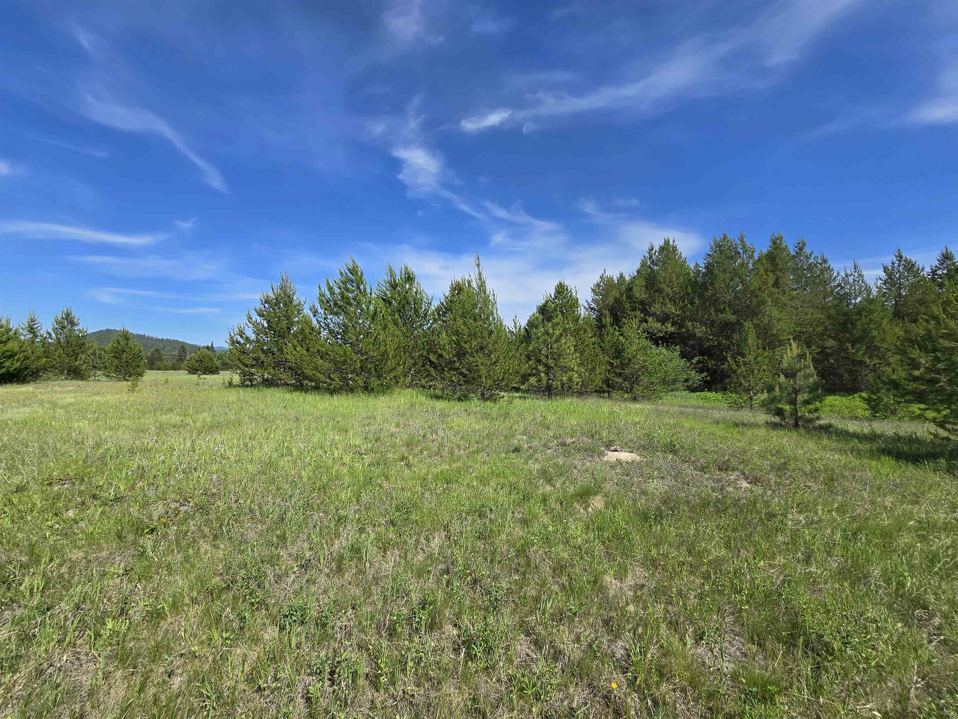 2040 Westside Calispell Track B Rd - Photo 22