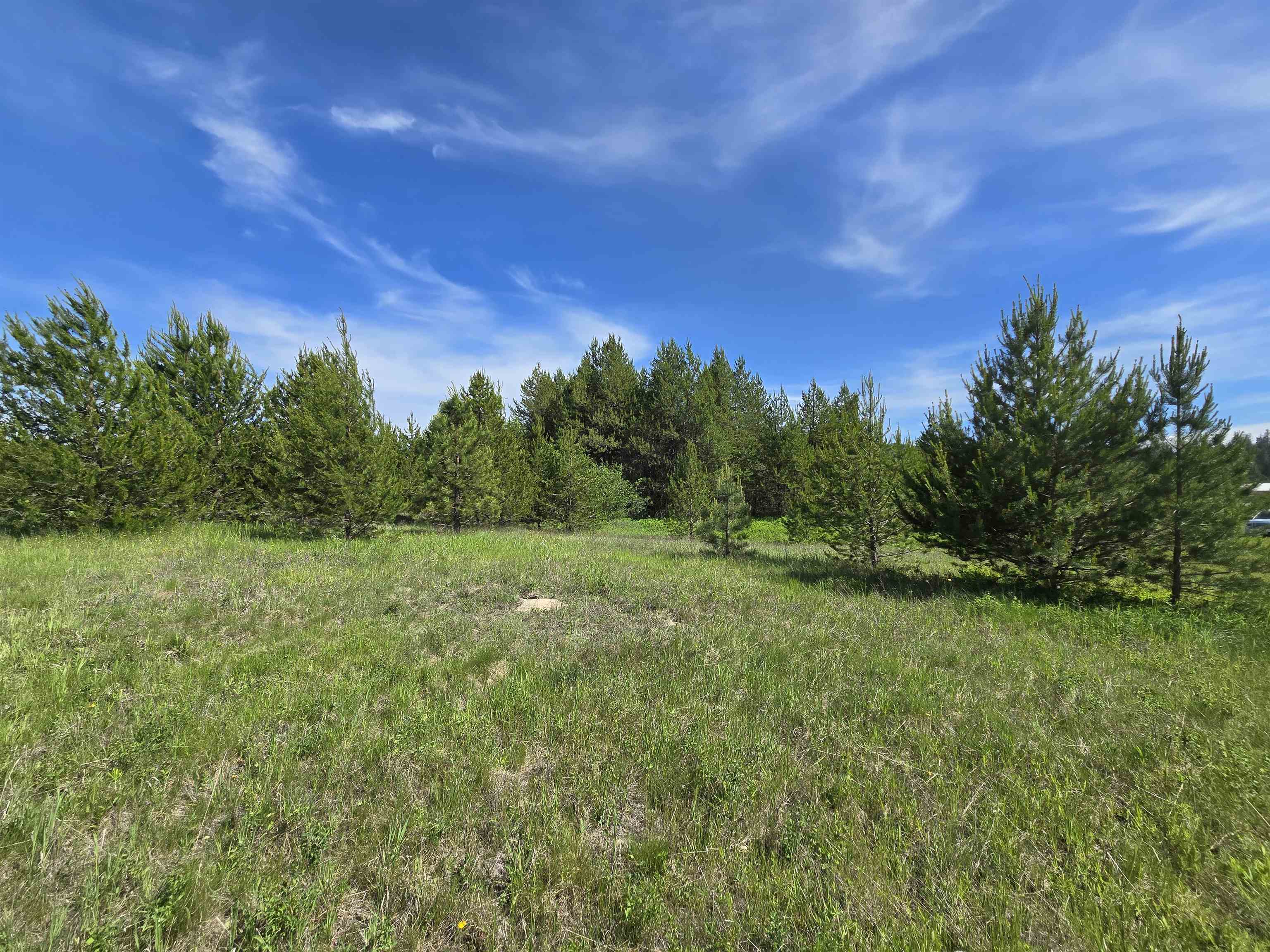 2040 Westside Calispell Track B Rd - Photo 23