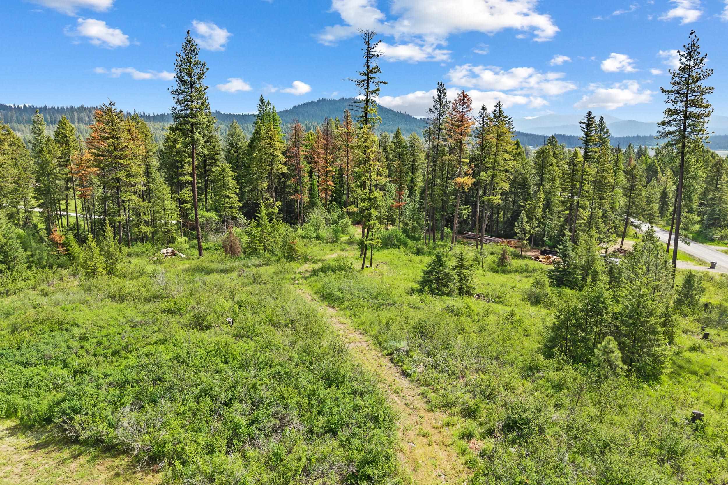 4045 Deer Creek Rd - Photo 44
