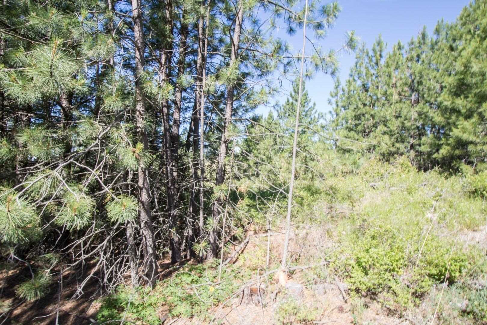 172XX E Frederick Rd - Photo 26