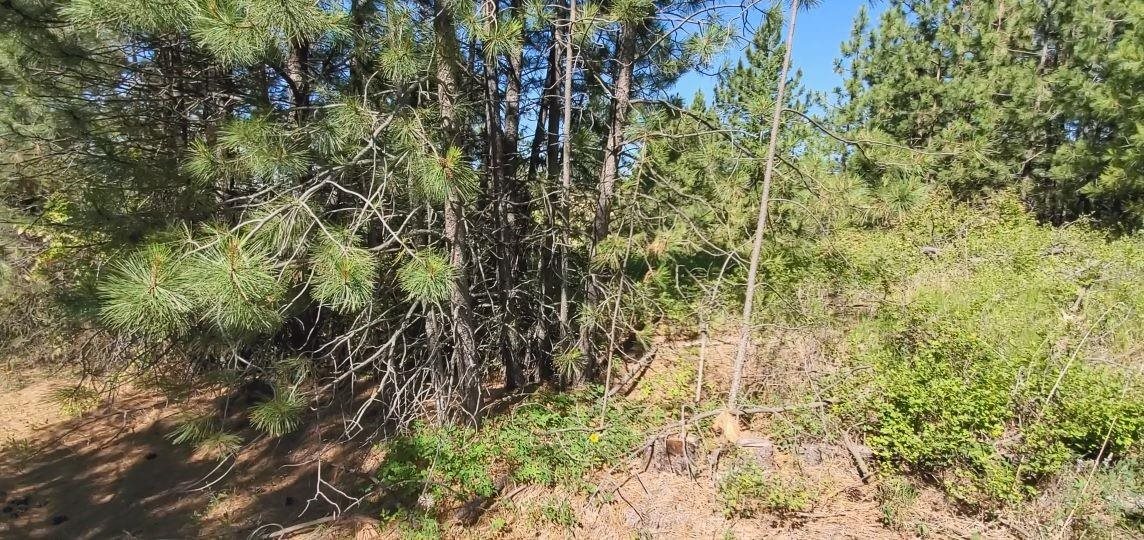 172XX E Frederick Rd - Photo 28