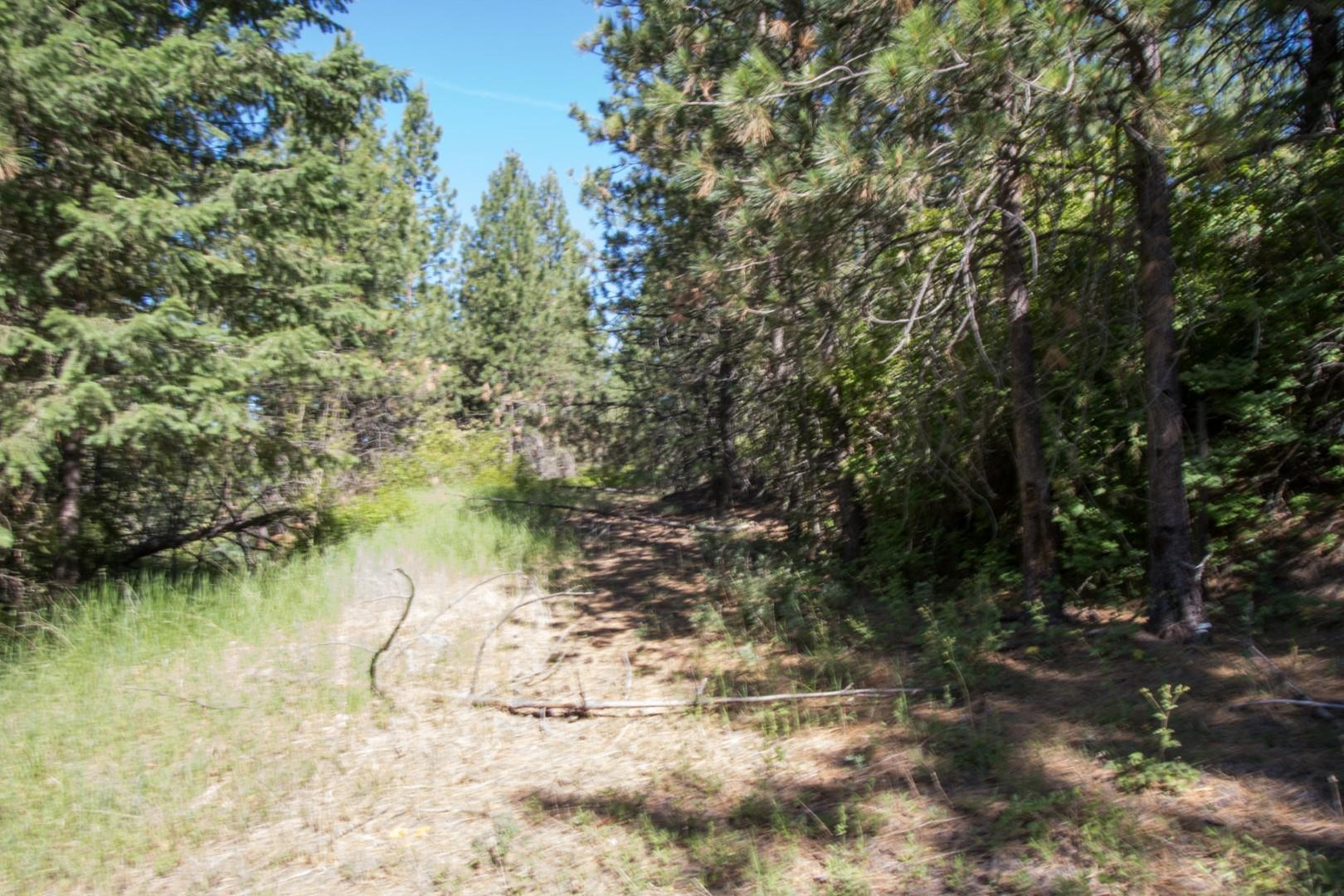 172XX E Frederick Rd - Photo 29