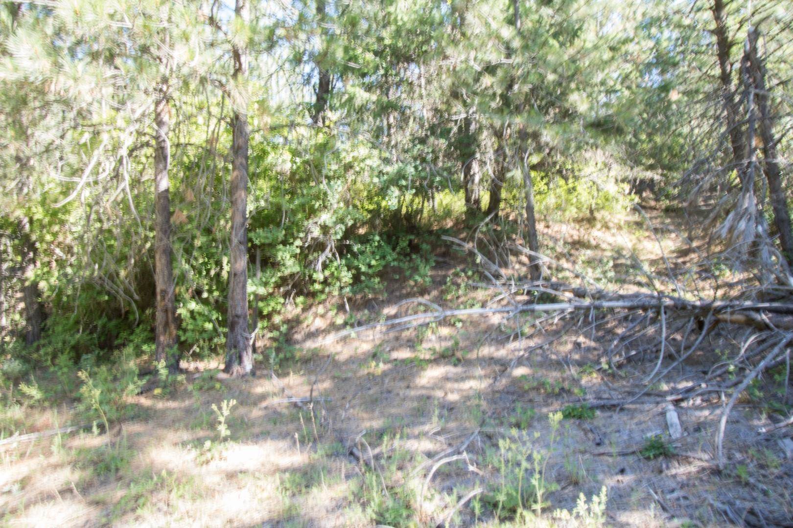 172XX E Frederick Rd - Photo 30