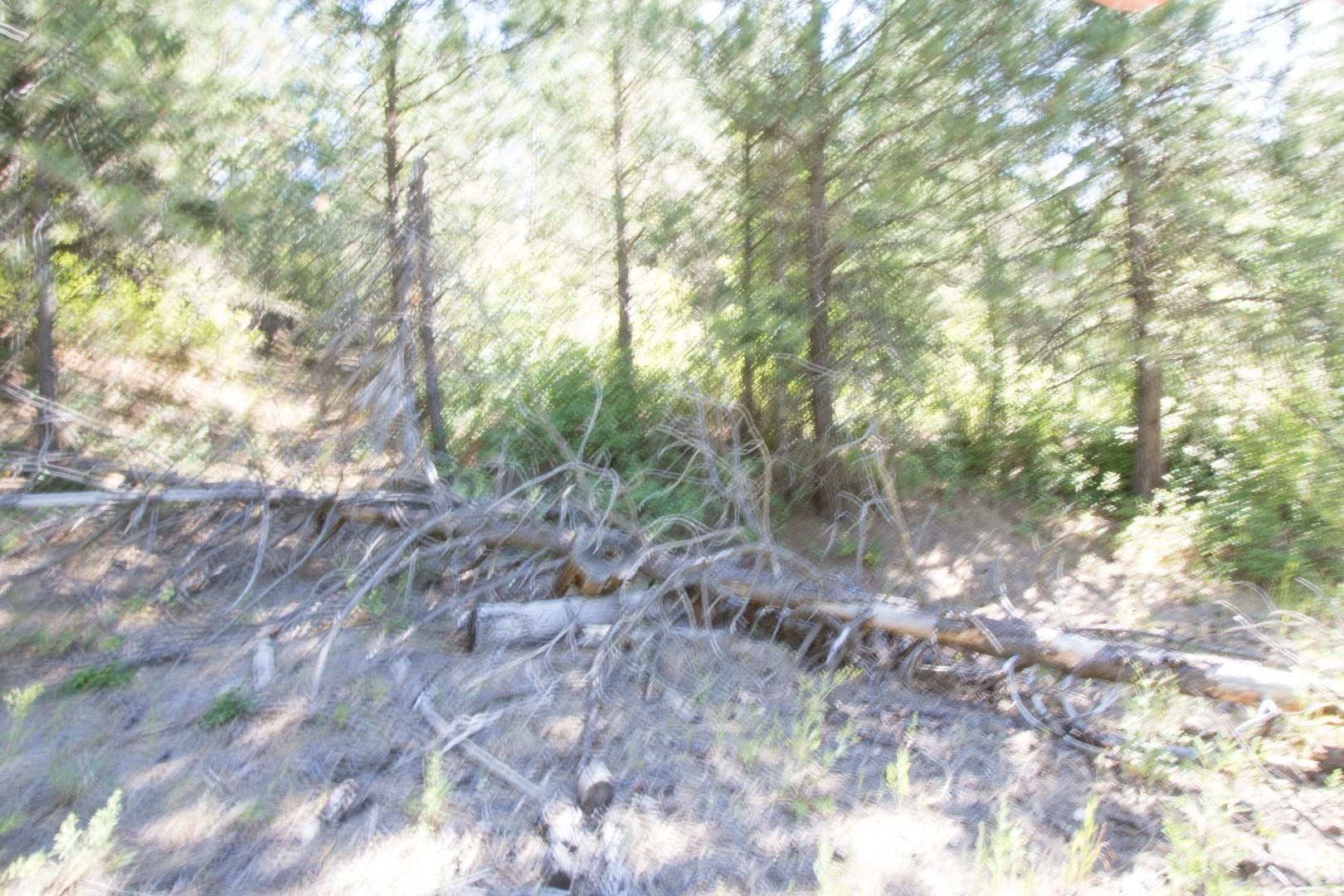 172XX E Frederick Rd - Photo 31