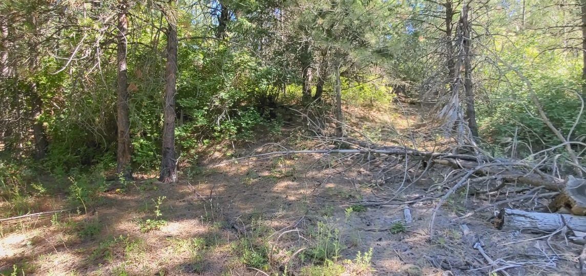 172XX E Frederick Rd - Photo 32