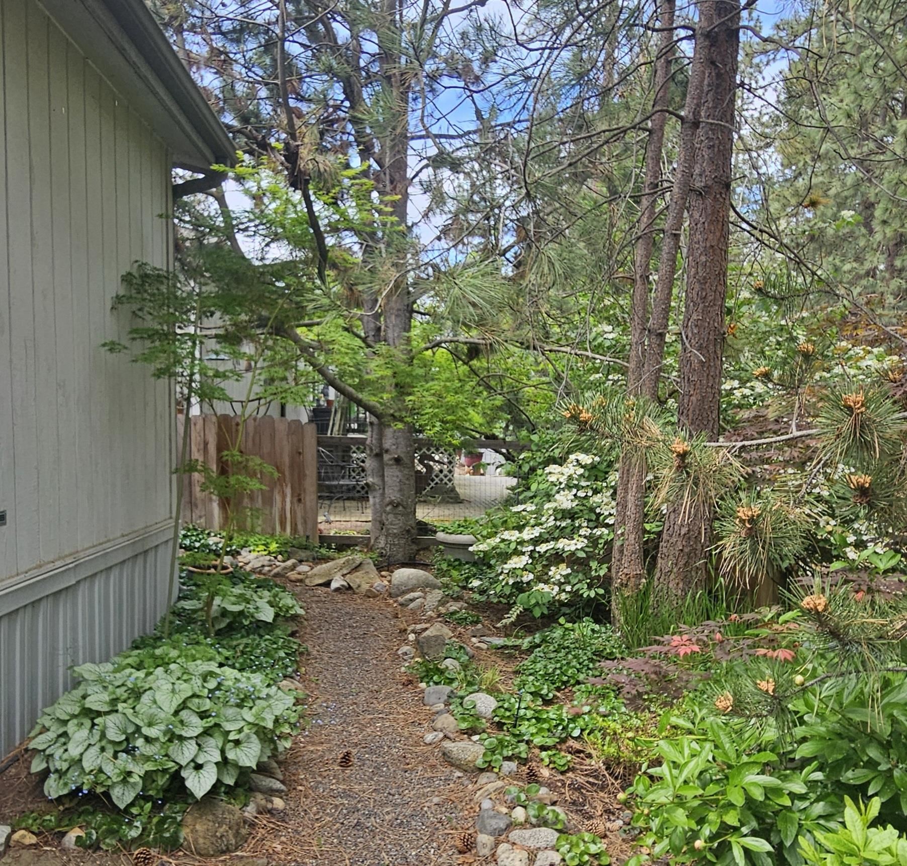 3103 E Vicksburg Ln - Photo 18