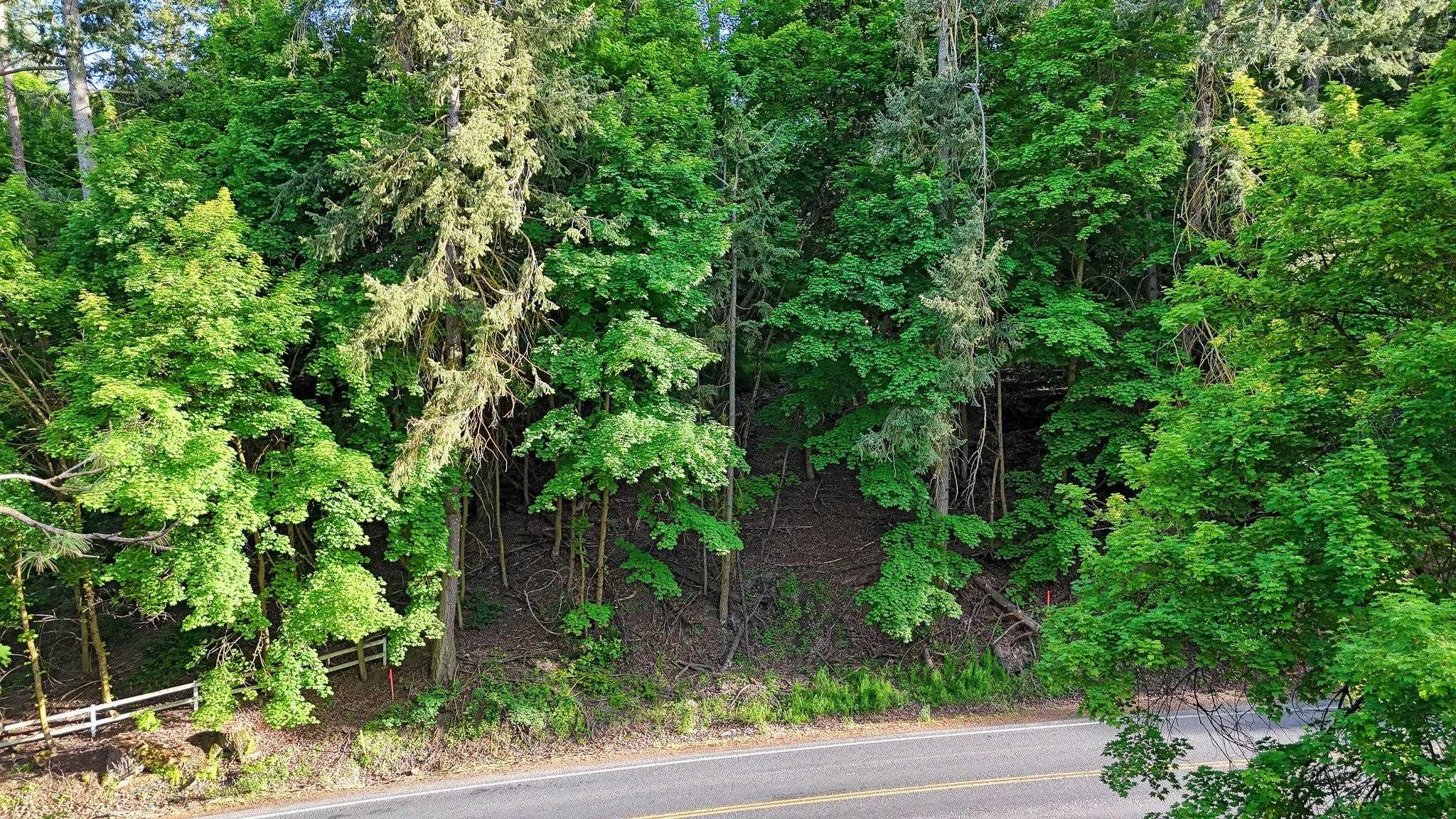 0000 N Five Mile Rd - Photo 4