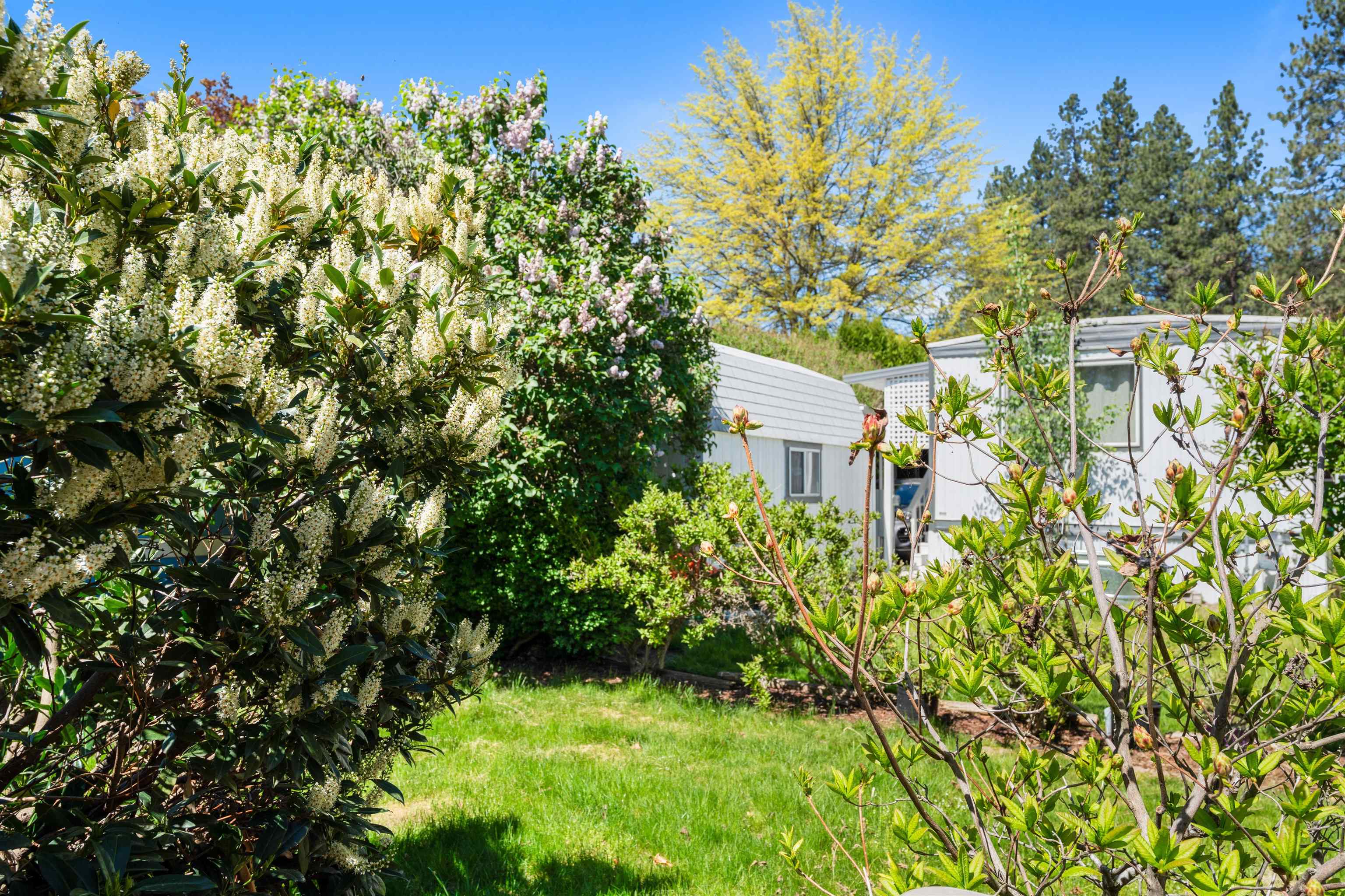 208 S Neyland Ave - Photo 34