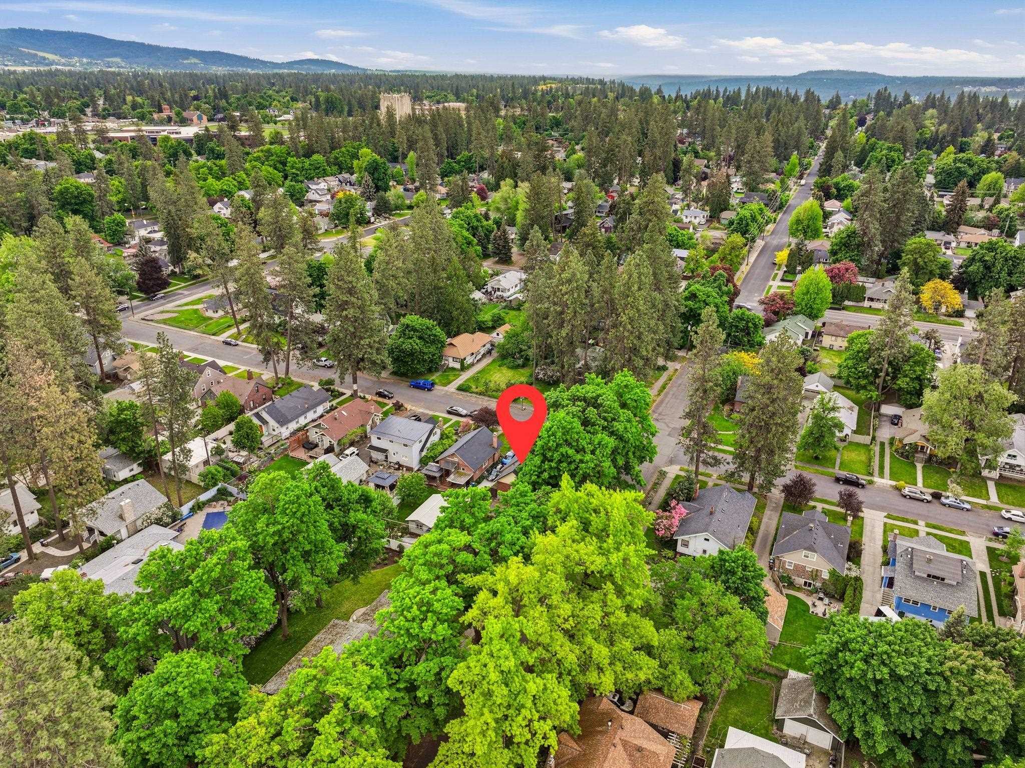 3 E 28th Ave - Photo 46