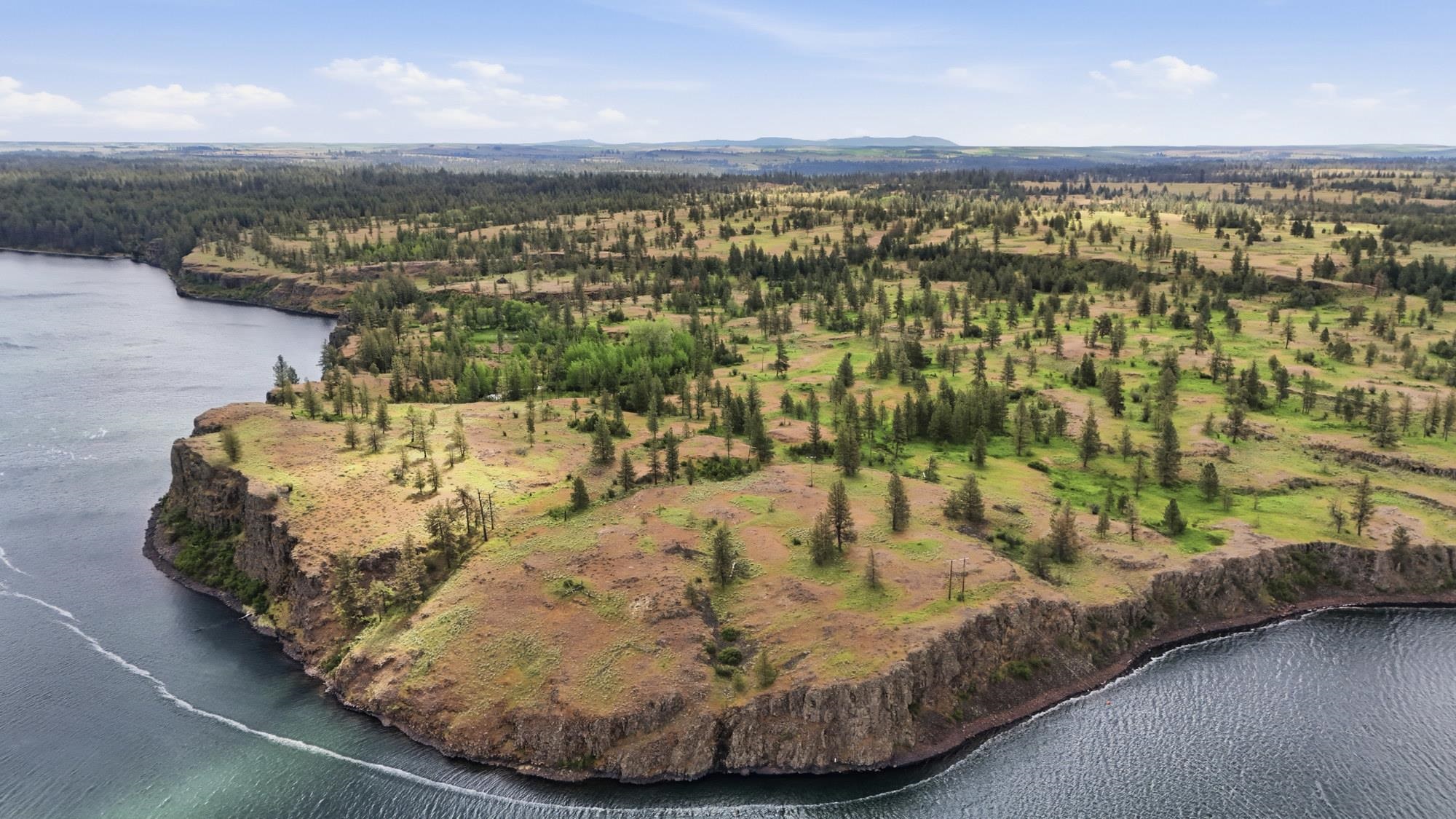 TBD Williams Lake Rd - Photo 1