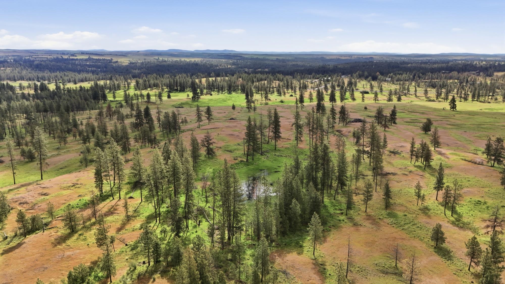 TBD Williams Lake Rd - Photo 11