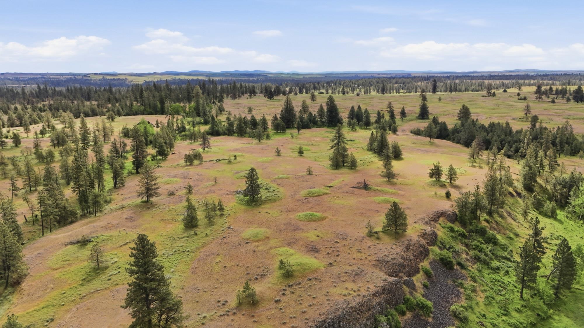 TBD Williams Lake Rd - Photo 12