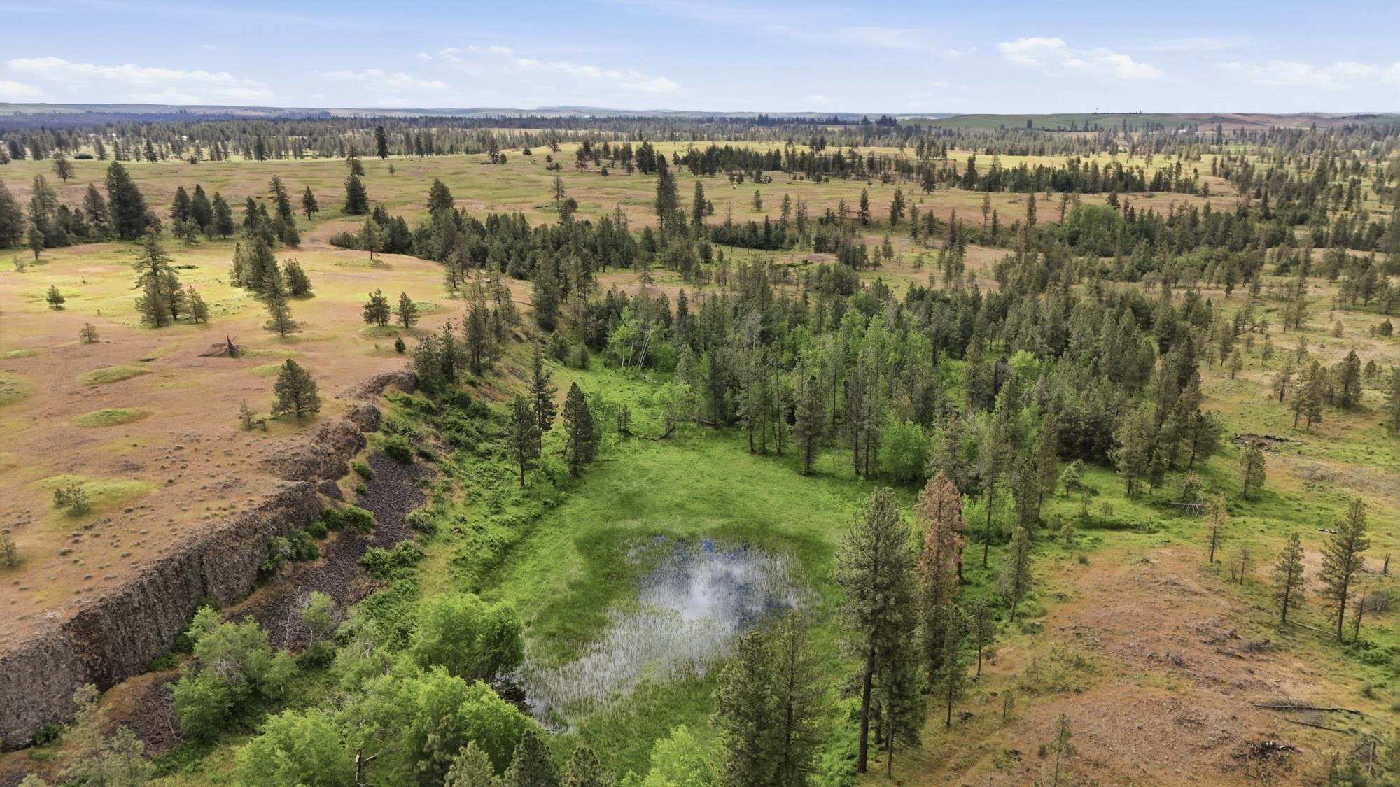 TBD Williams Lake Rd - Photo 13