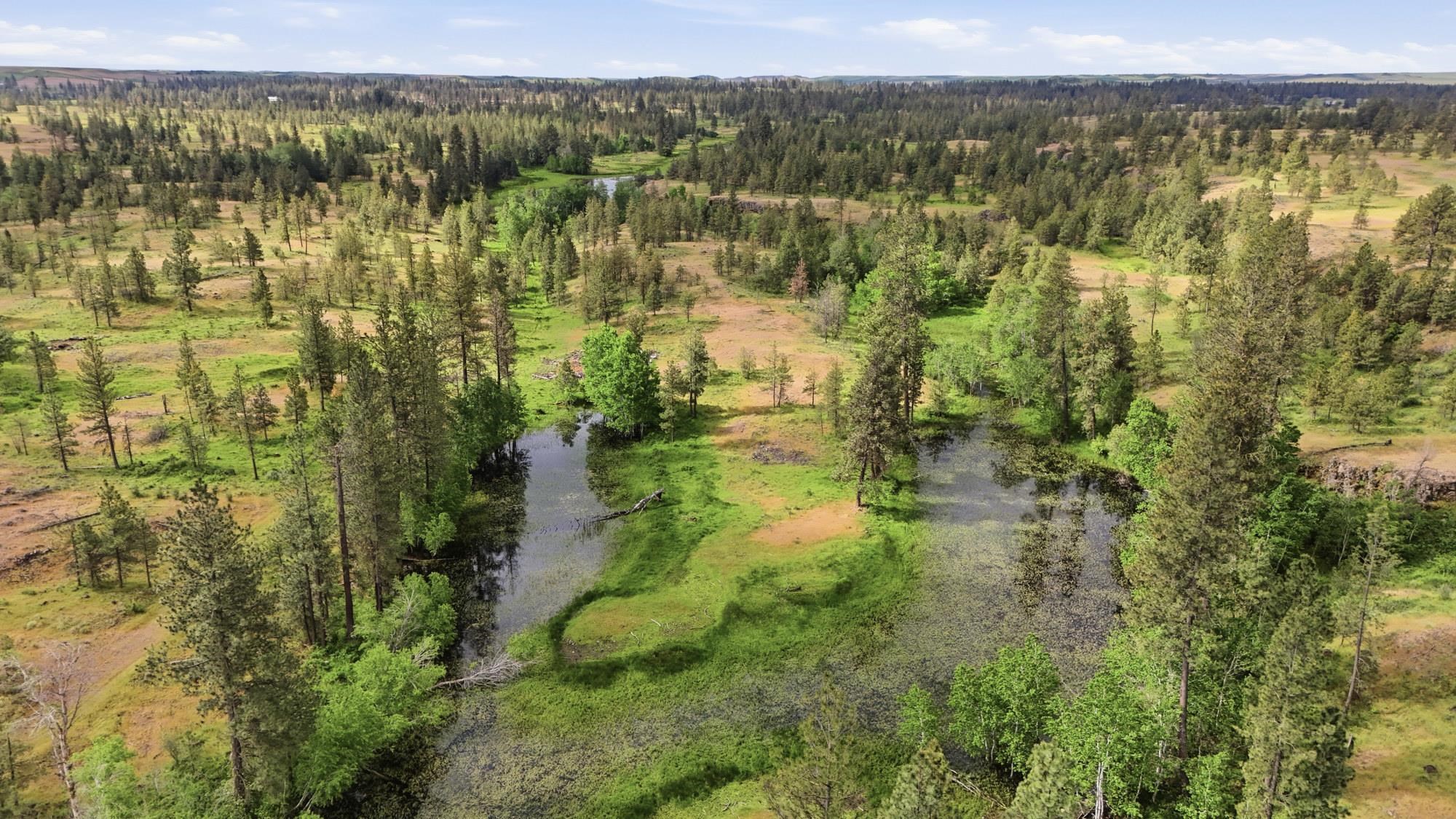 TBD Williams Lake Rd - Photo 14