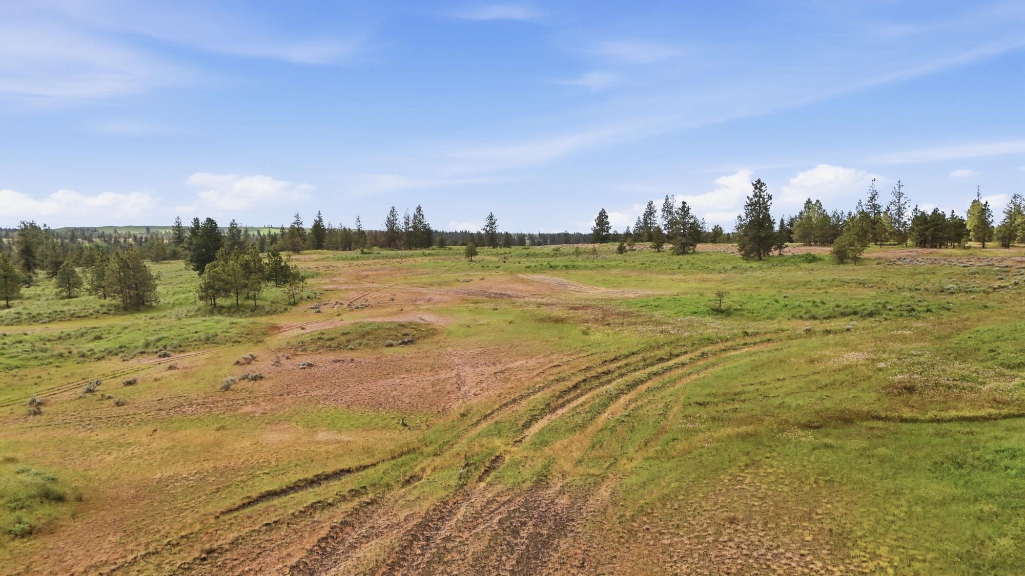 TBD Williams Lake Rd - Photo 15