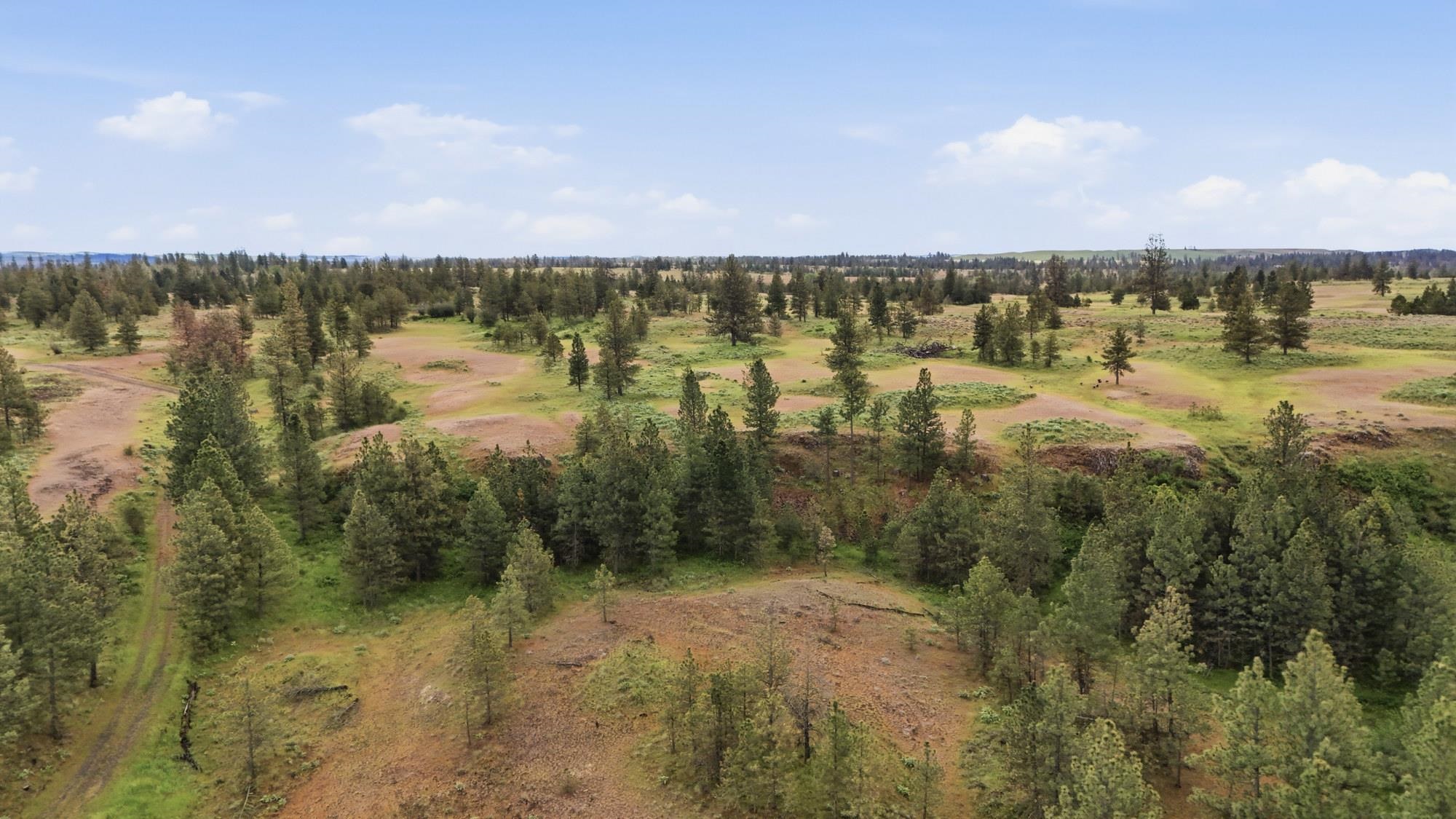 TBD Williams Lake Rd - Photo 16