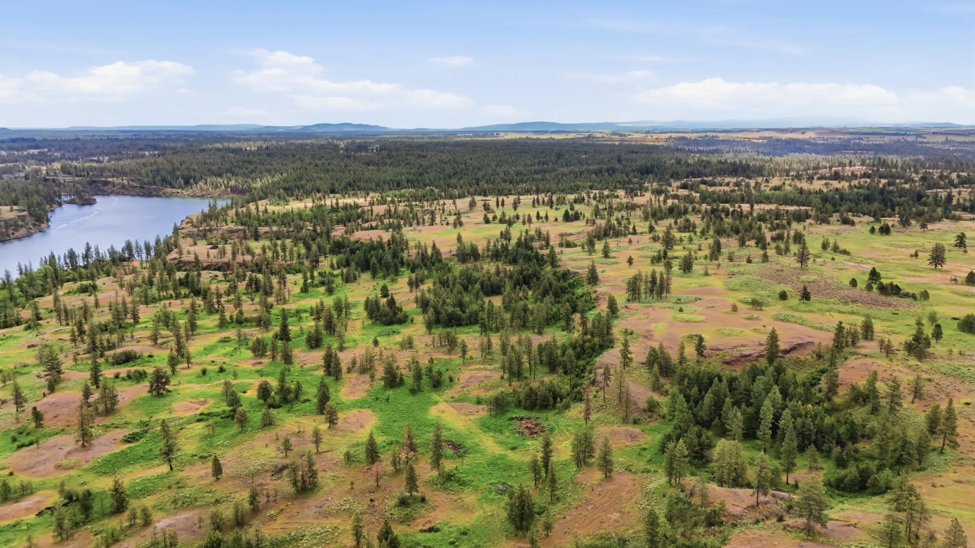 TBD Williams Lake Rd - Photo 17