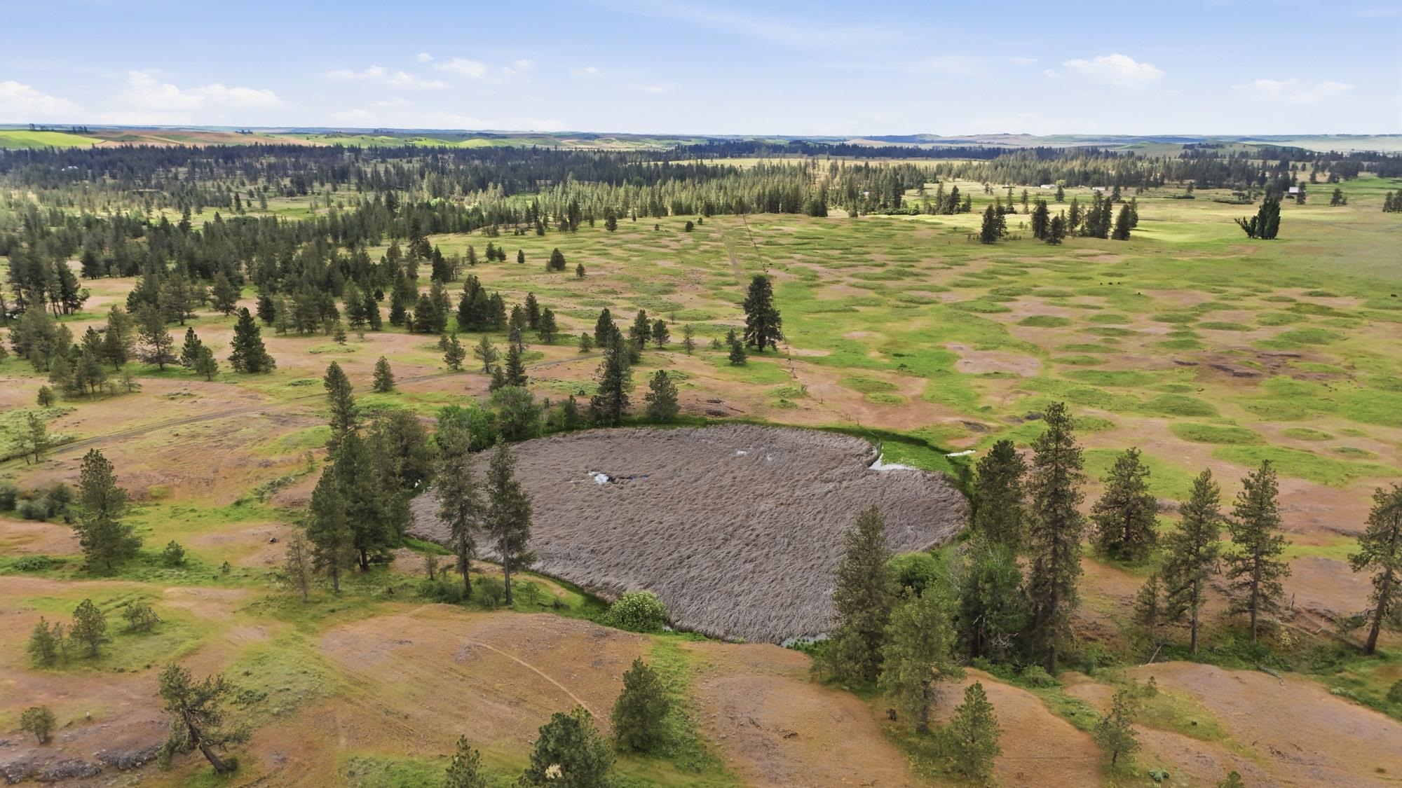 TBD Williams Lake Rd - Photo 18
