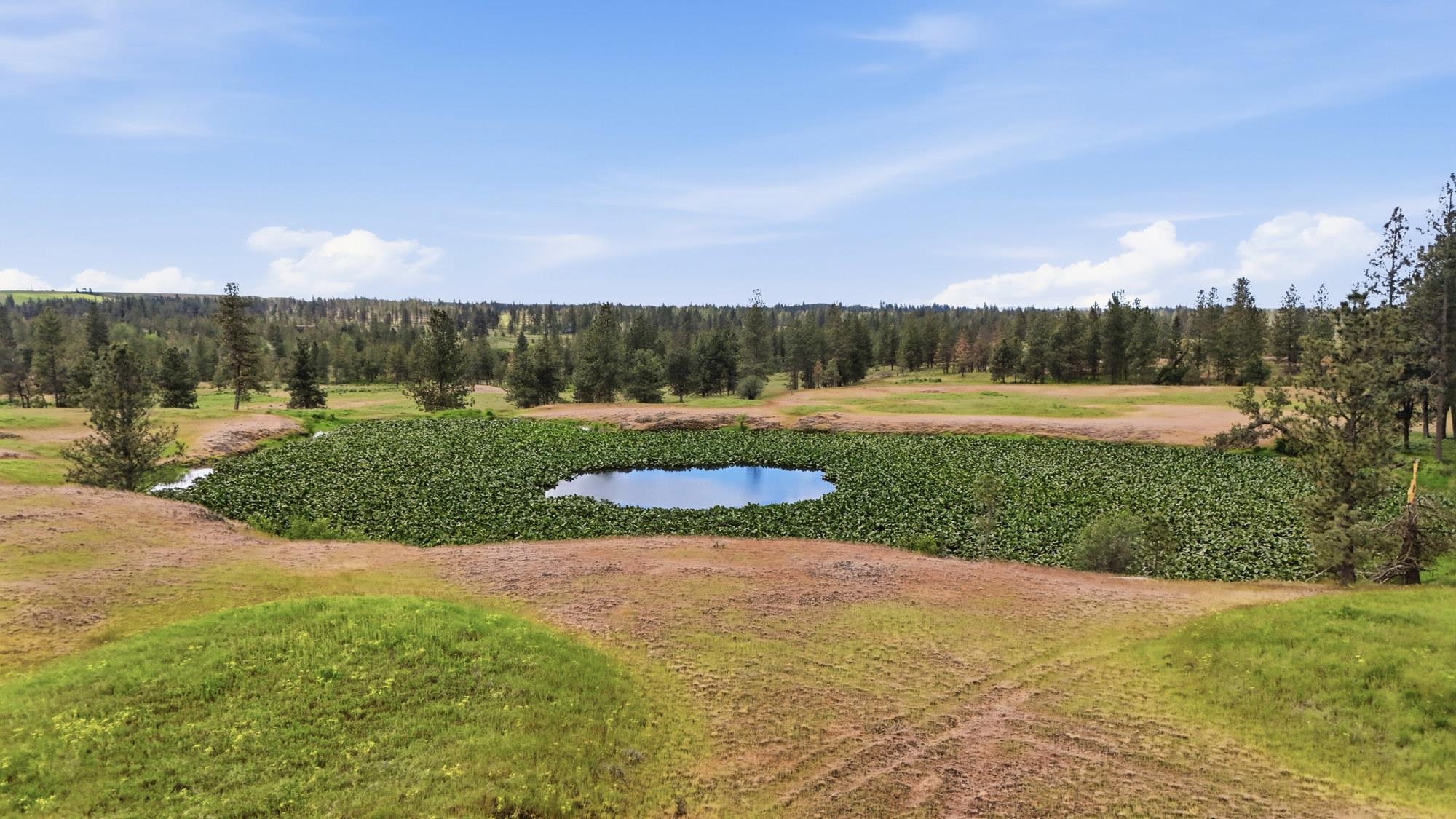 TBD Williams Lake Rd - Photo 20