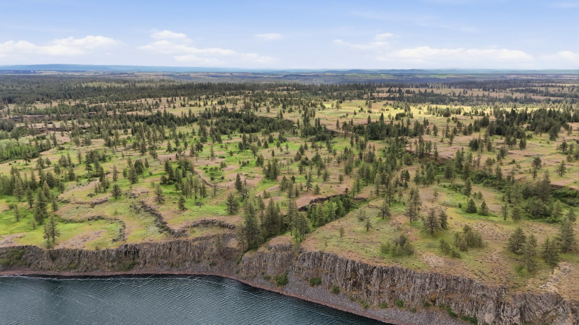 TBD Williams Lake Rd - Photo 3