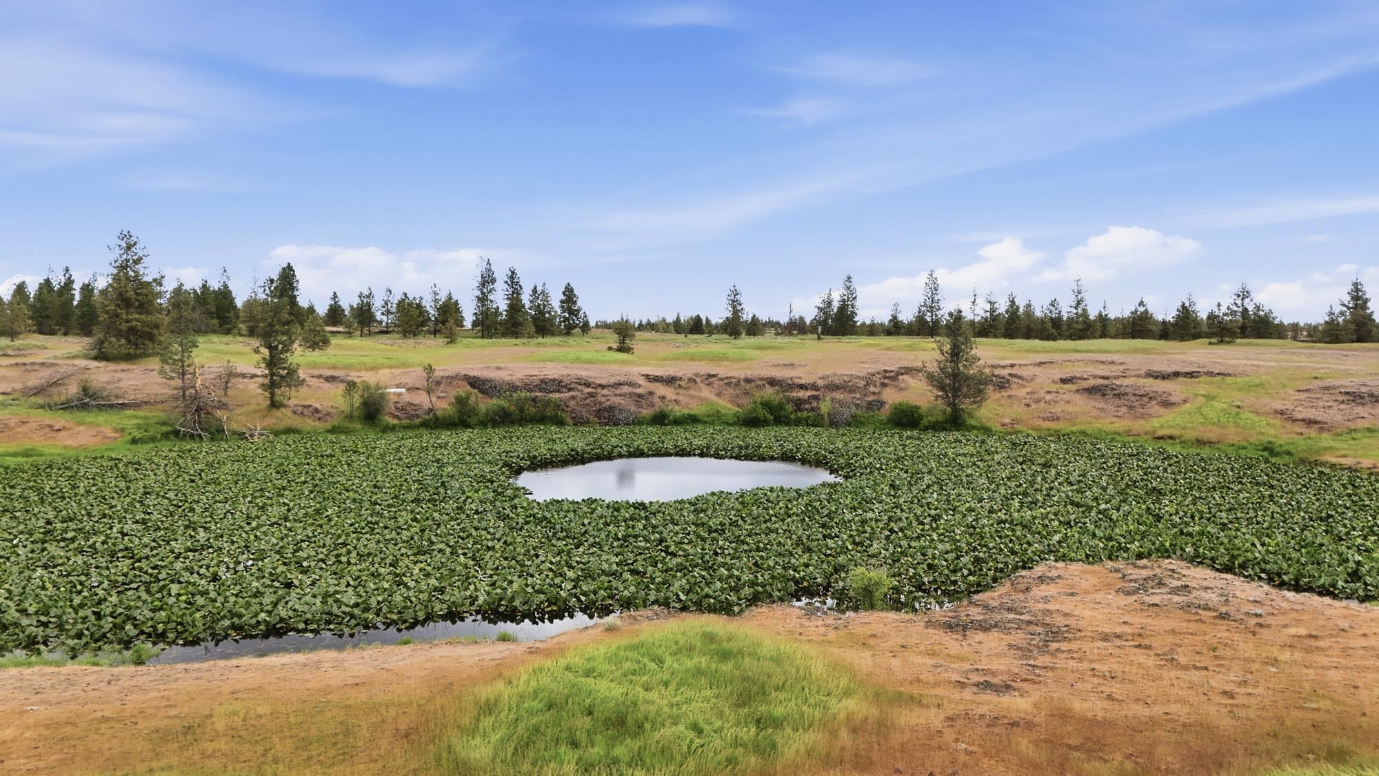 TBD Williams Lake Rd - Photo 21