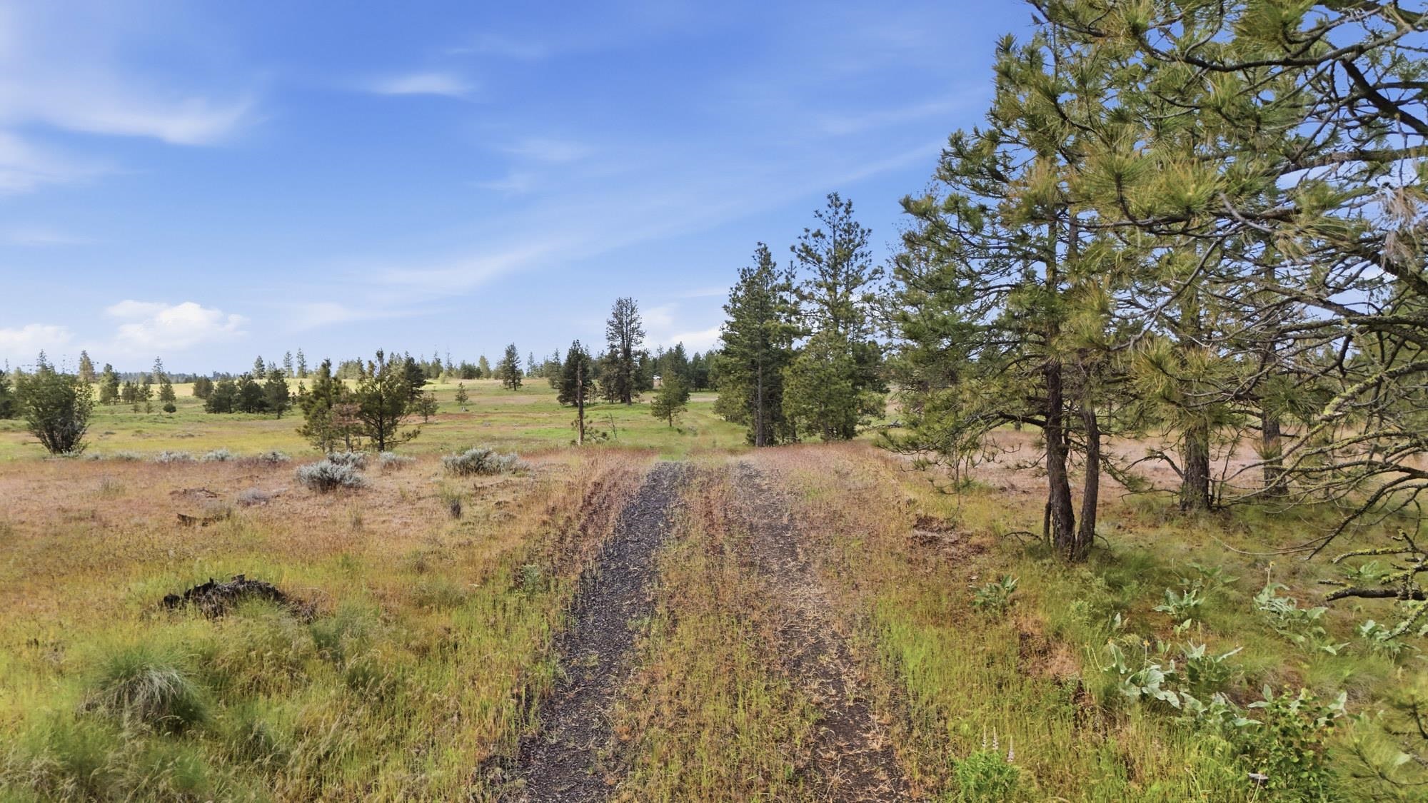 TBD Williams Lake Rd - Photo 22