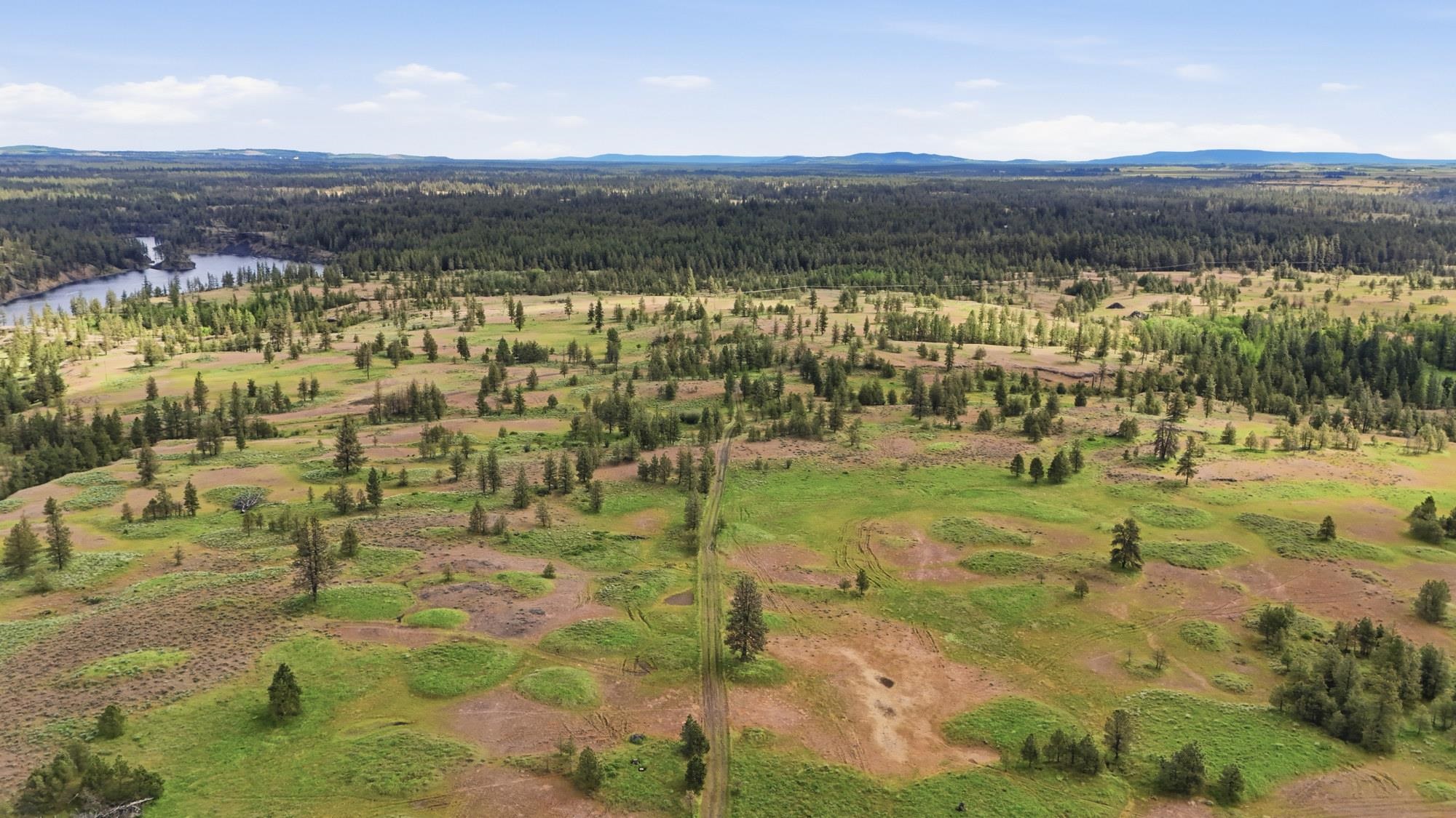 TBD Williams Lake Rd - Photo 23