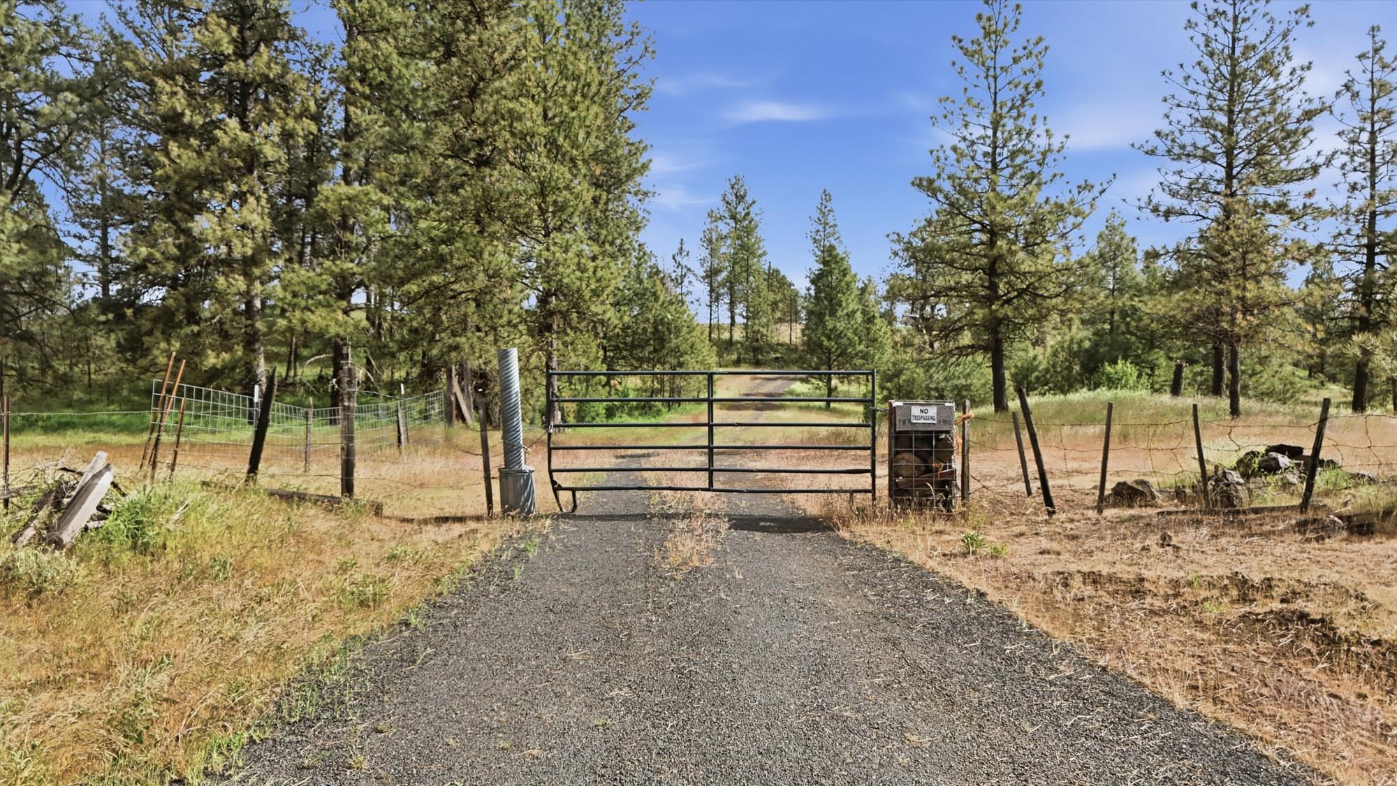 TBD Williams Lake Rd - Photo 4