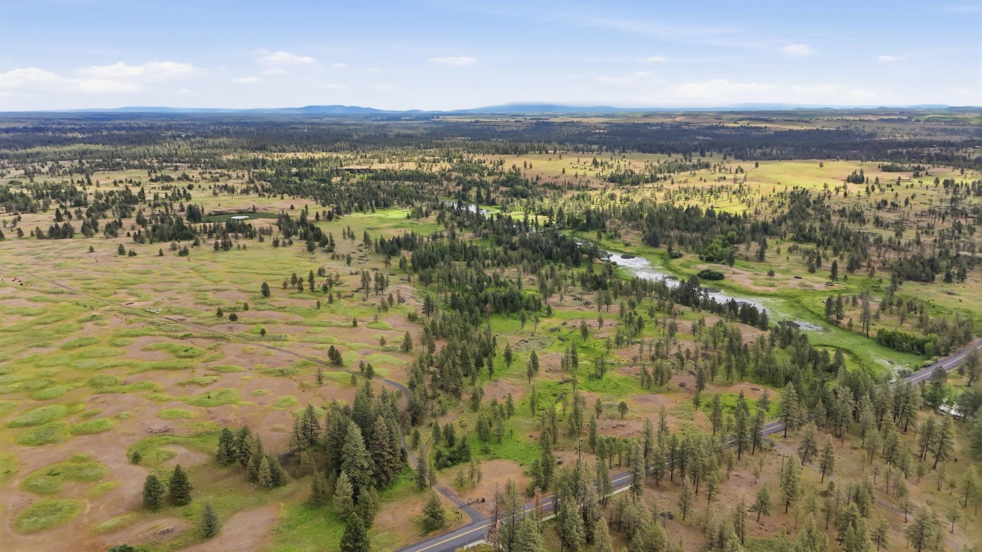 TBD Williams Lake Rd - Photo 5