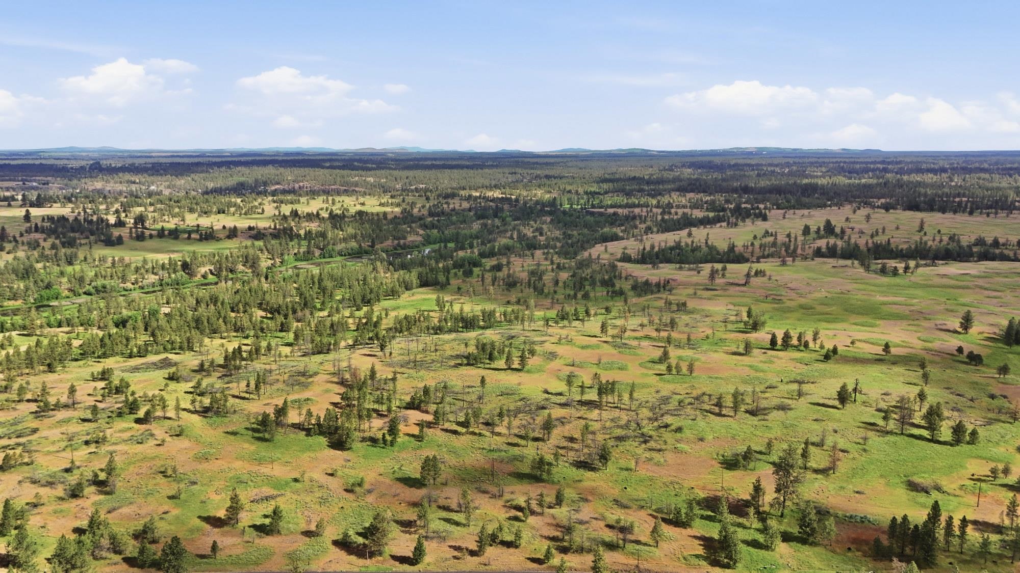 TBD Williams Lake Rd - Photo 6