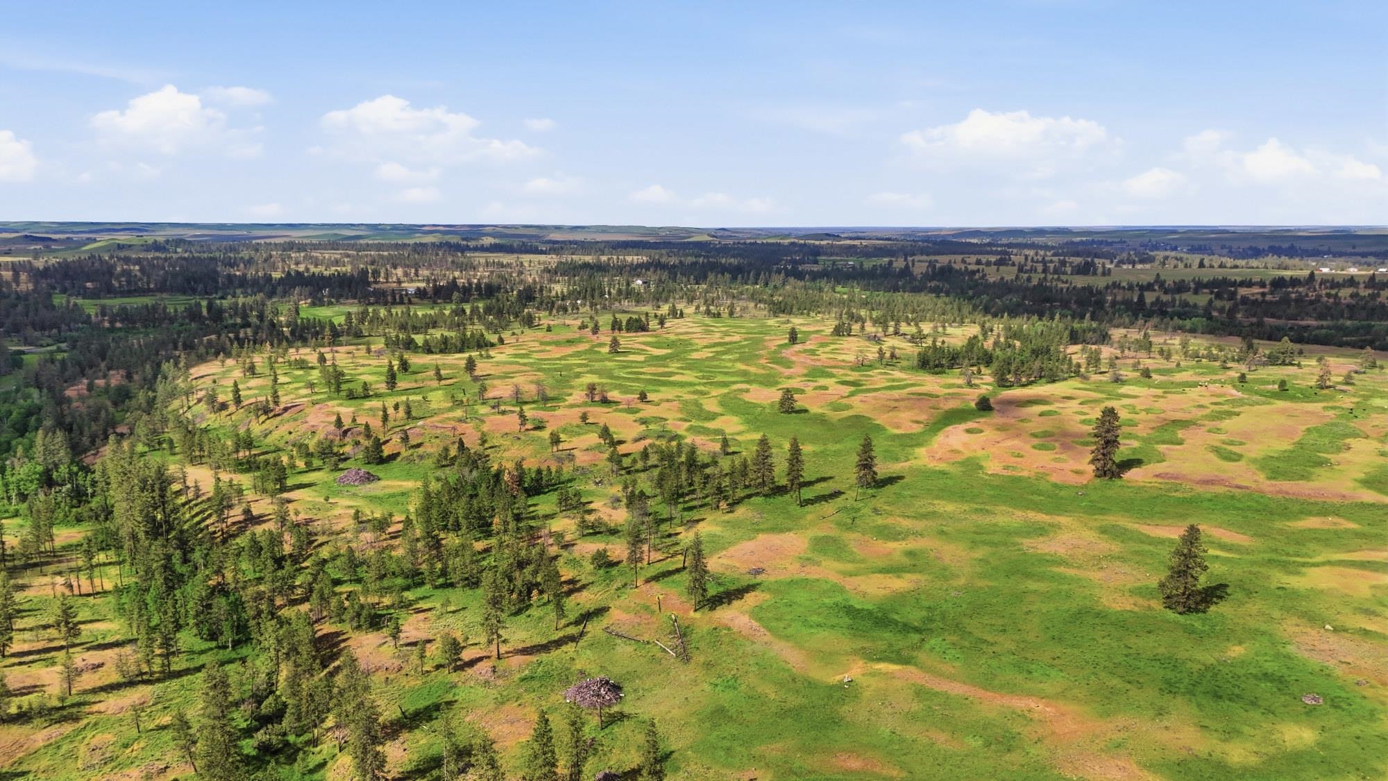 TBD Williams Lake Rd - Photo 8