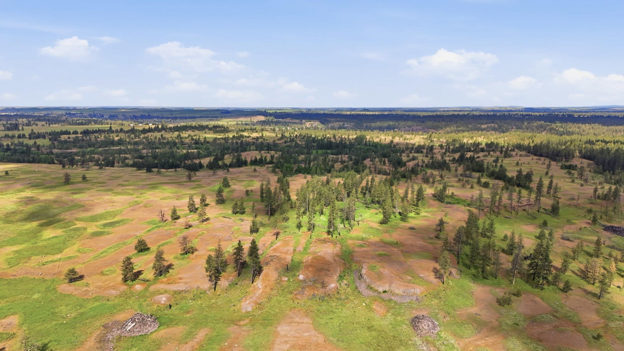 TBD Williams Lake Rd - Photo 9