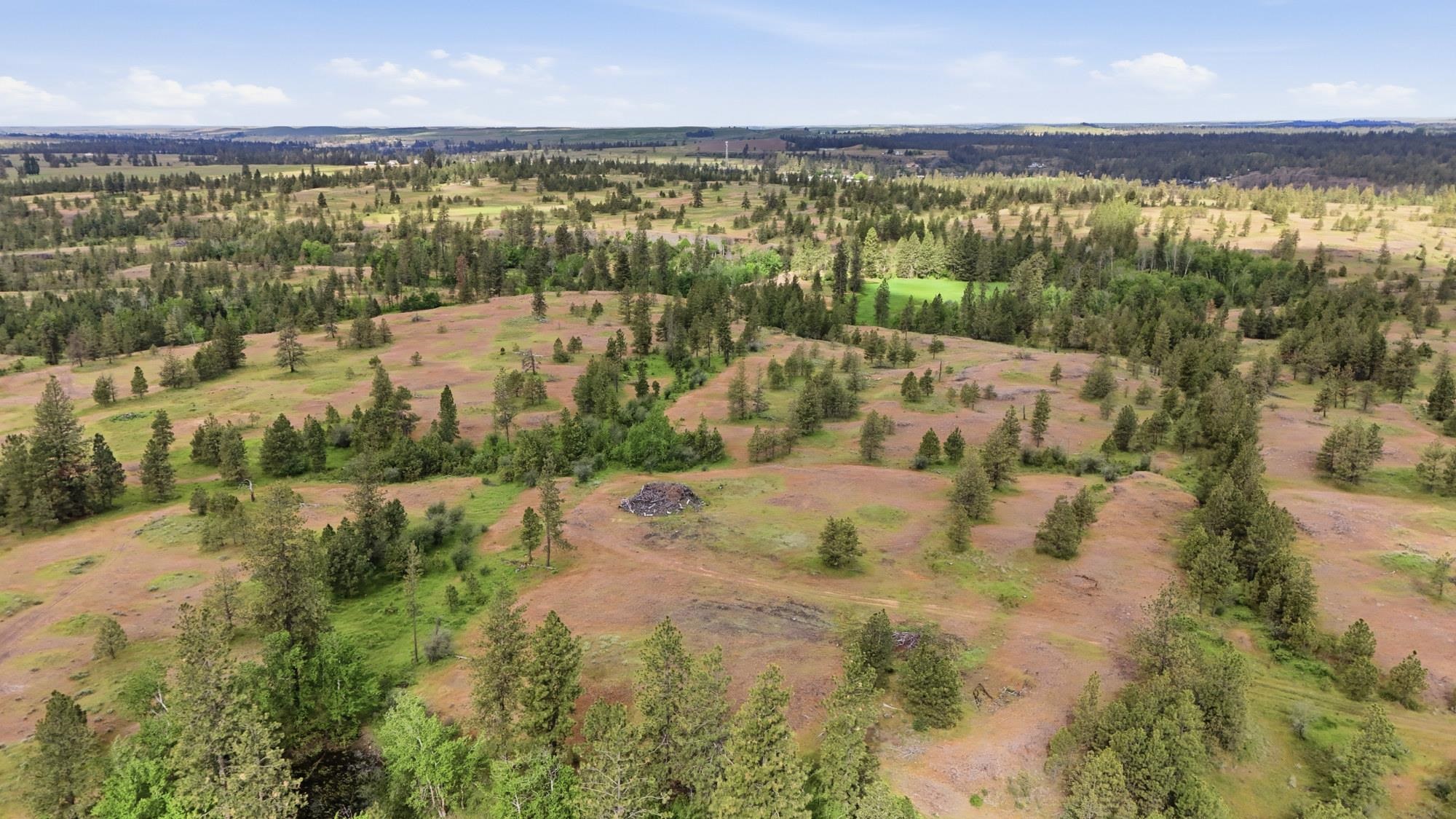 TBD Williams Lake Rd - Photo 10