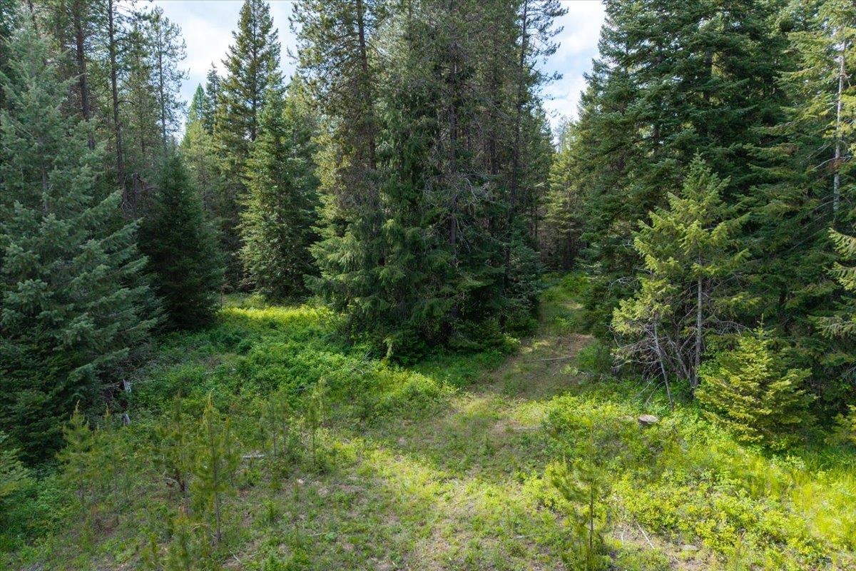 4827 Getna Way - Photo 26