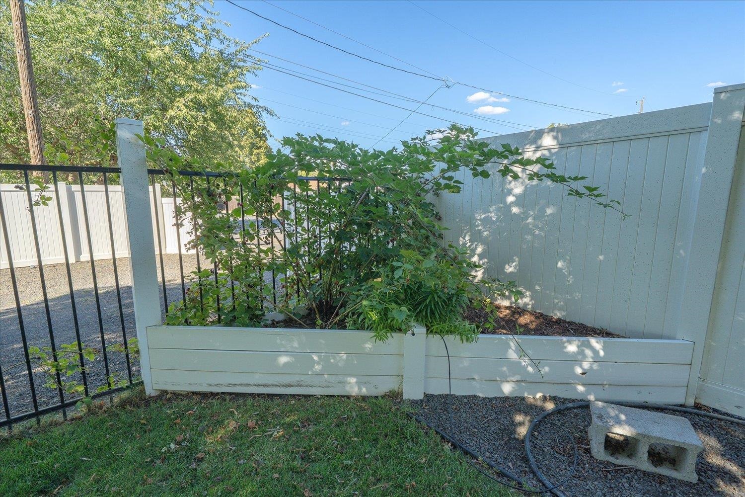 3427 E Jackson Ave - Photo 30
