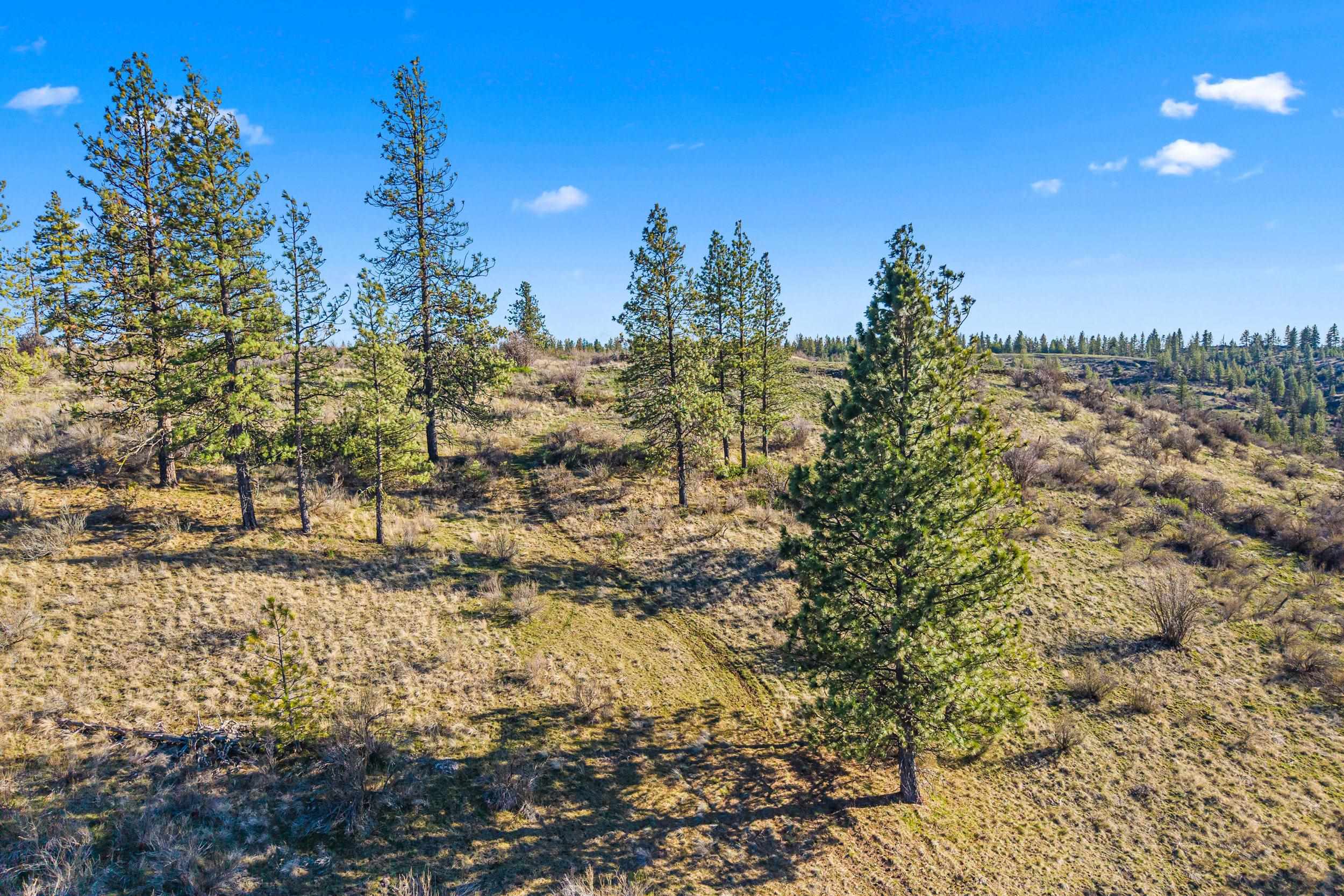 27220 E Underwood Canyon Rd - Photo 1