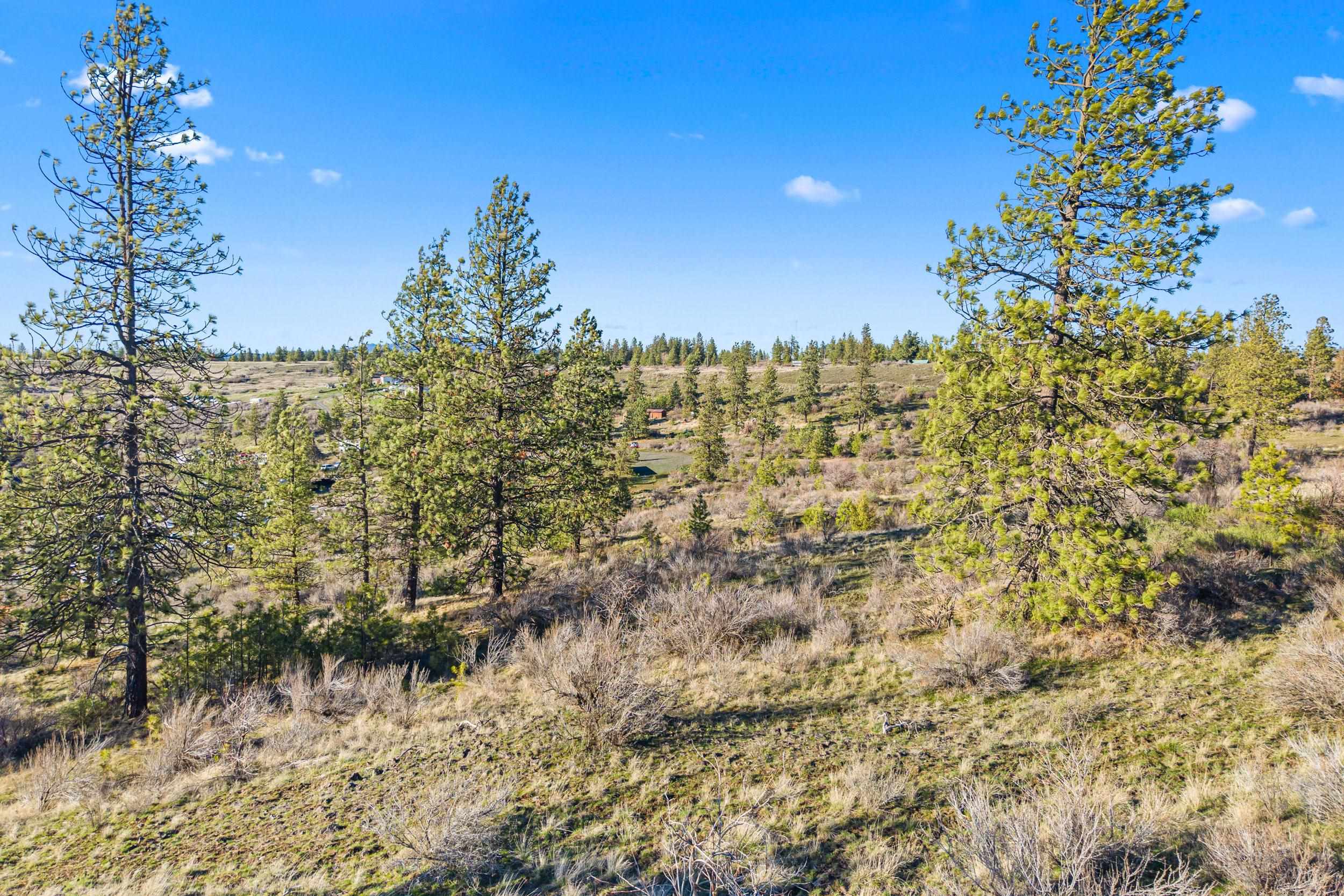 27220 E Underwood Canyon Rd - Photo 2