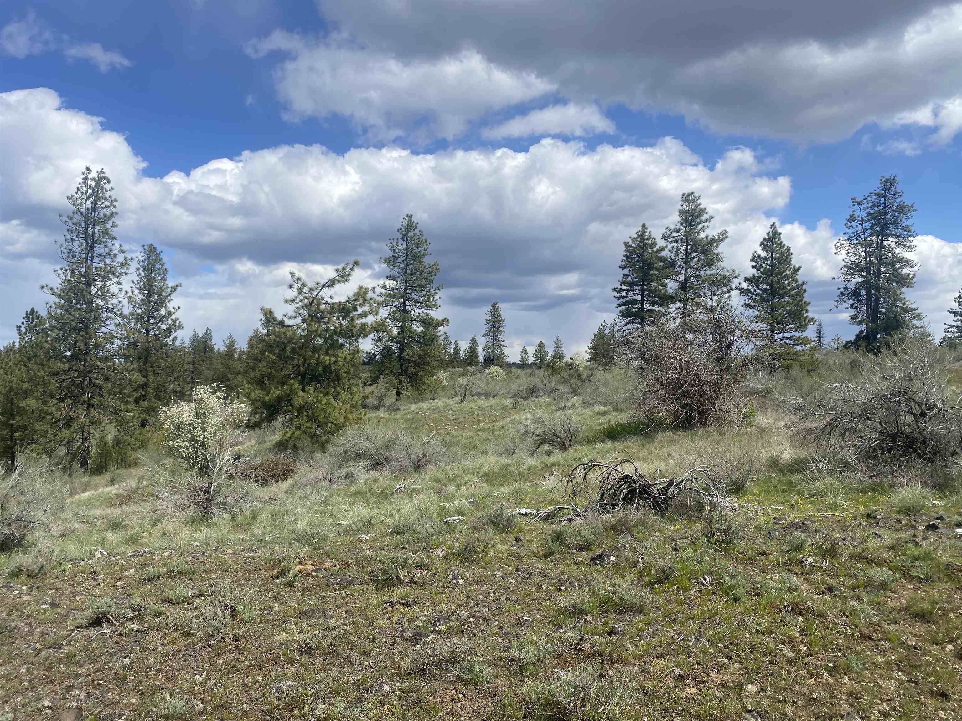 27220 E Underwood Canyon Rd - Photo 3