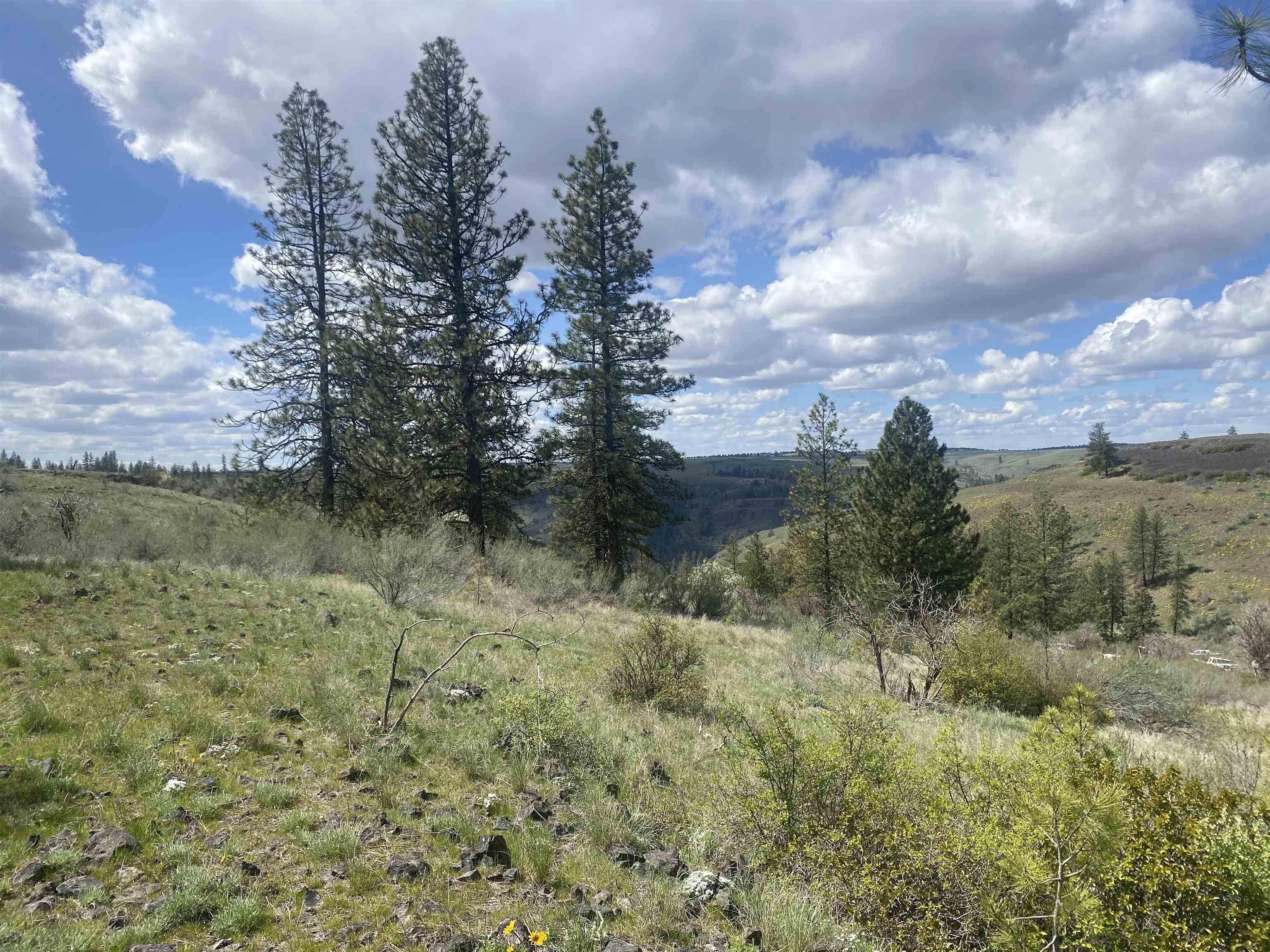 27220 E Underwood Canyon Rd - Photo 4
