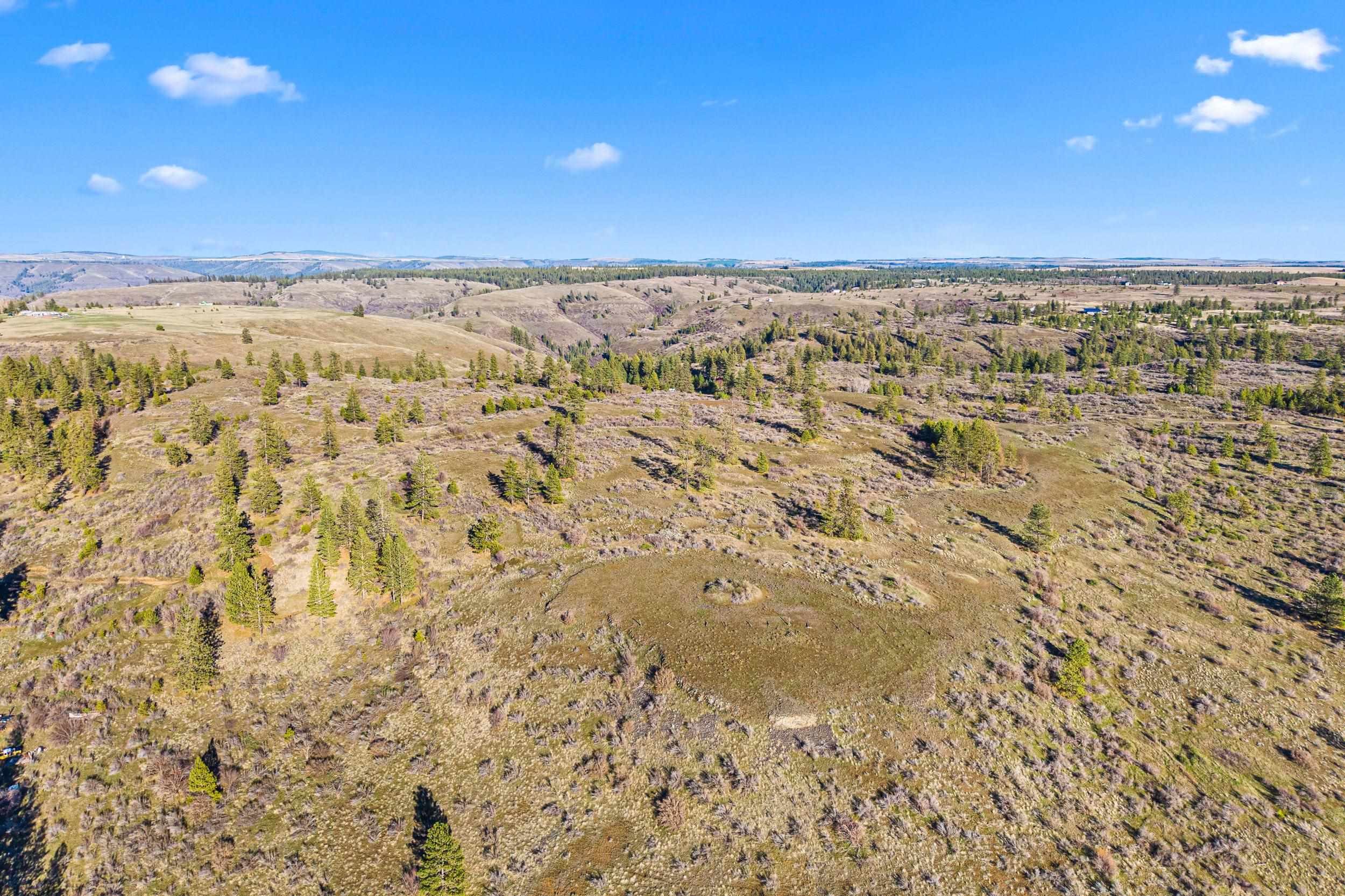 27220 E Underwood Canyon Rd - Photo 6