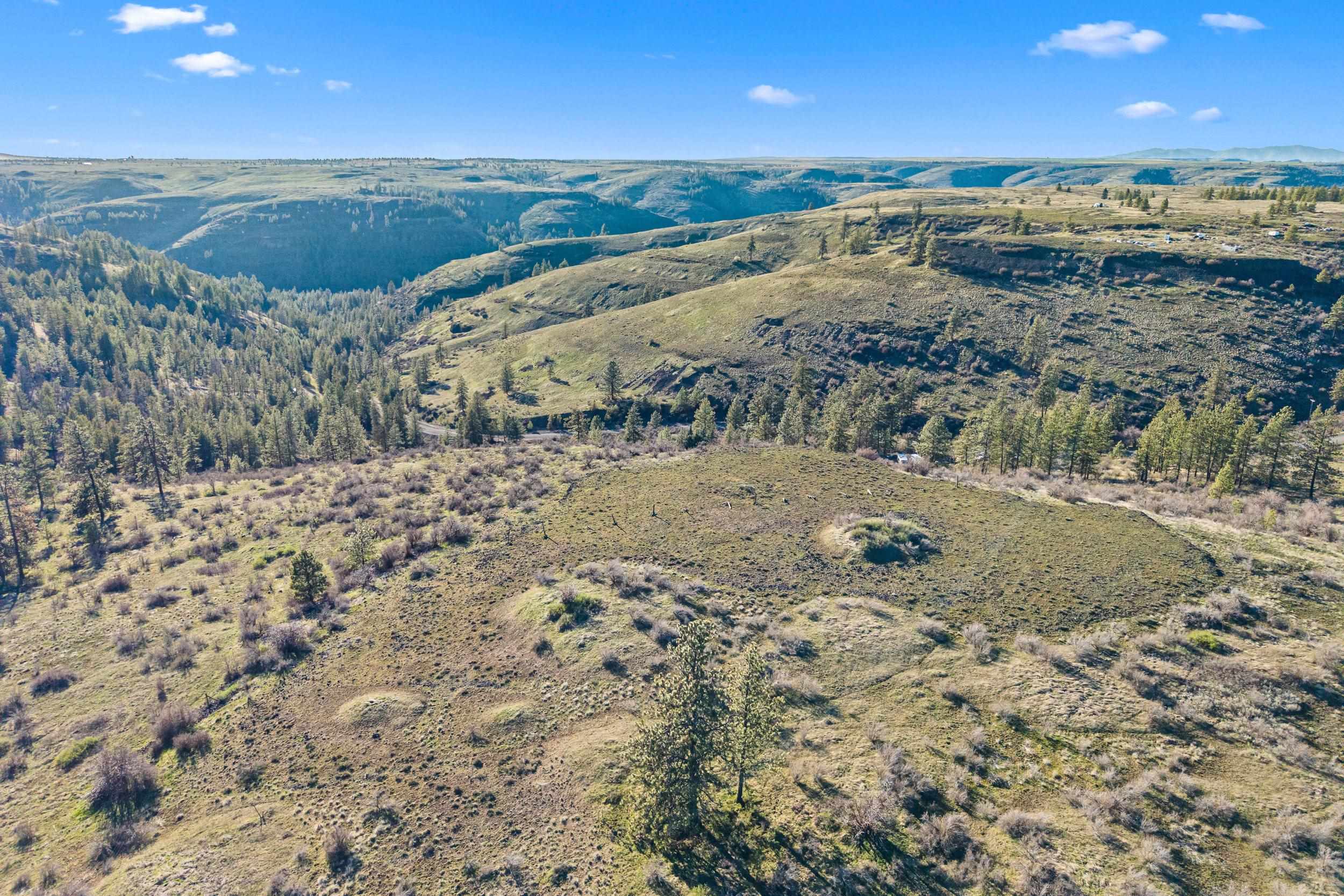 27220 E Underwood Canyon Rd - Photo 10